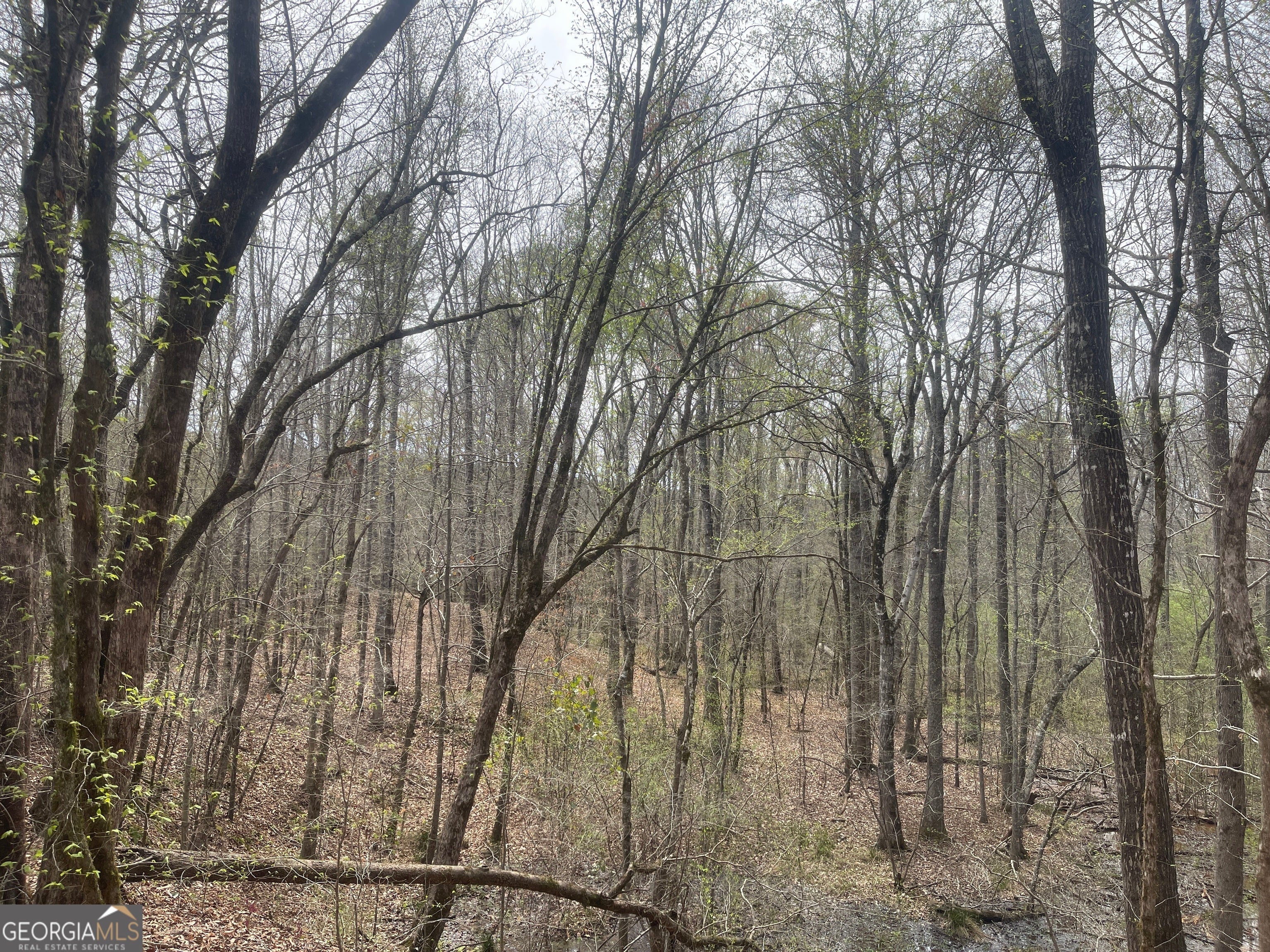 Photo of Listing #10490503