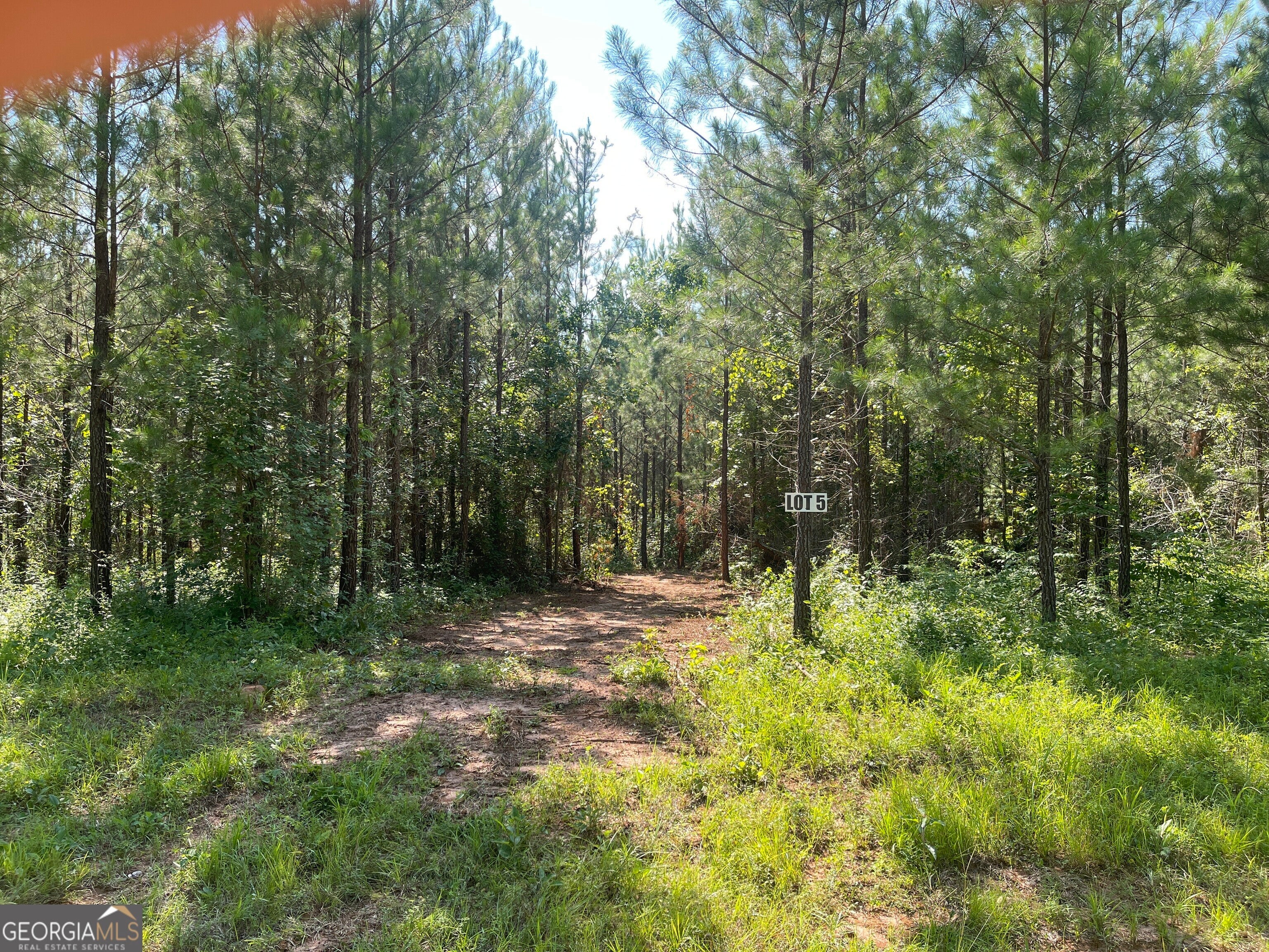 Photo of Listing #10490504