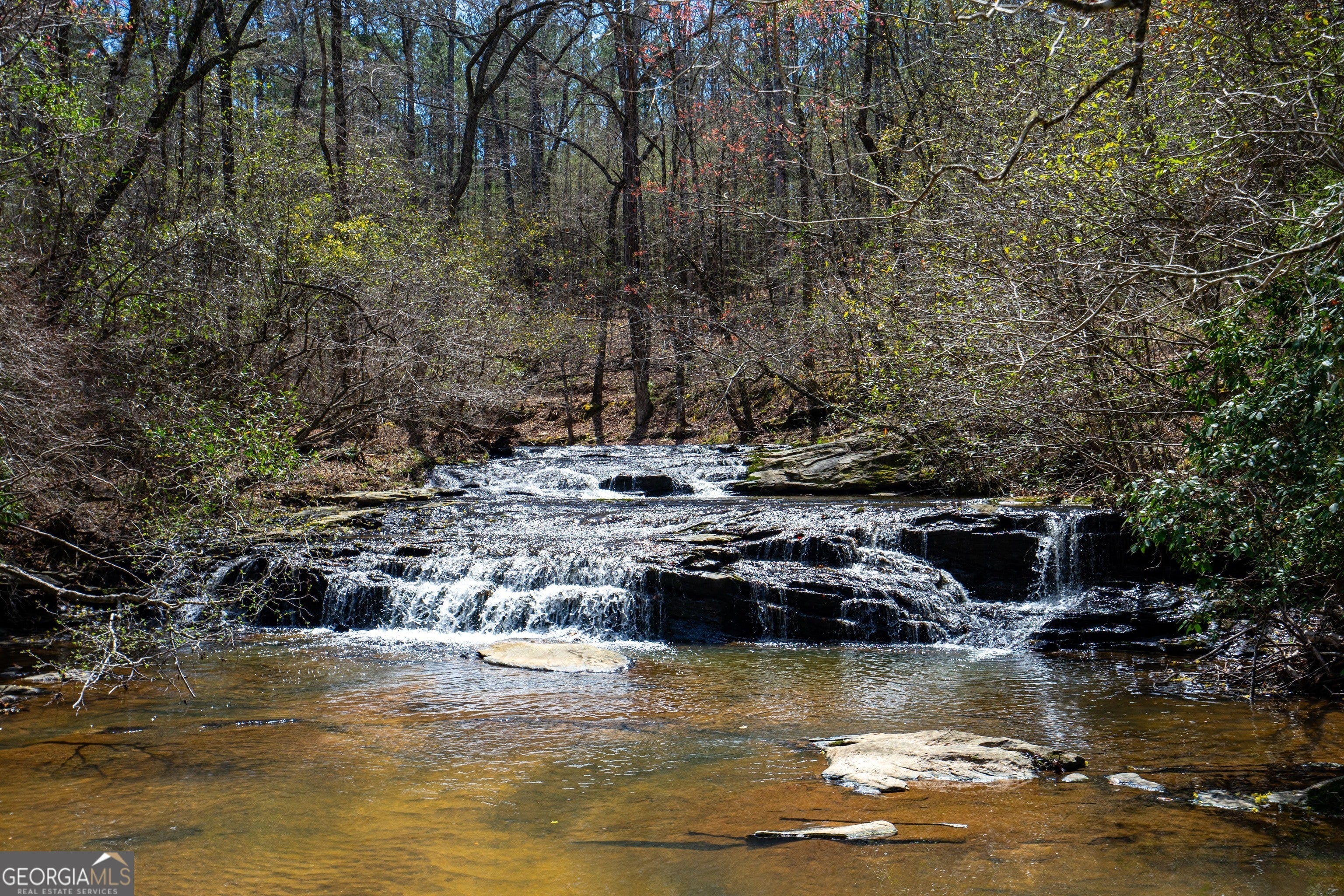 Photo of Listing #10492532