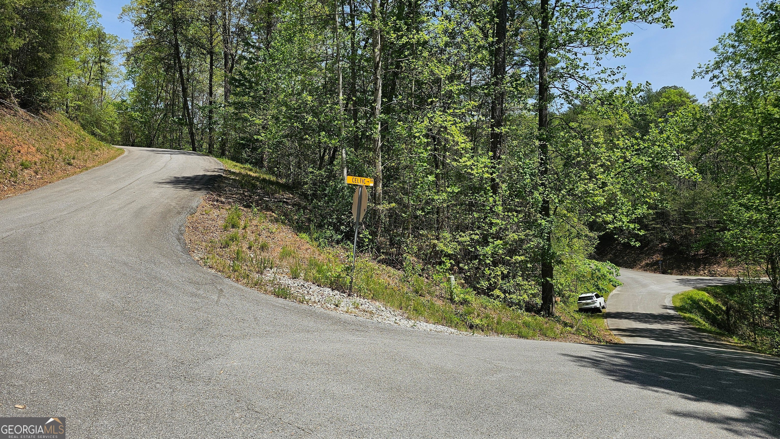 Photo of Listing #10504881