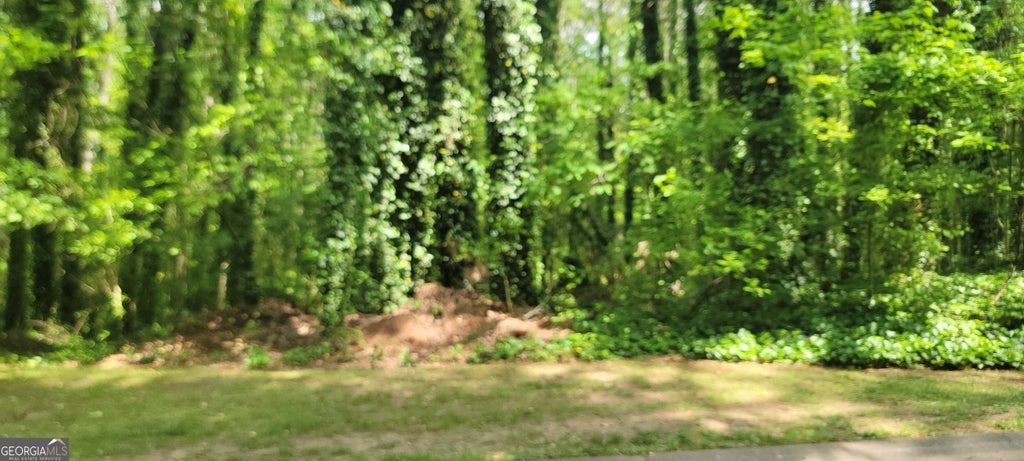 44 Lake Latimer Drive, Kennesaw