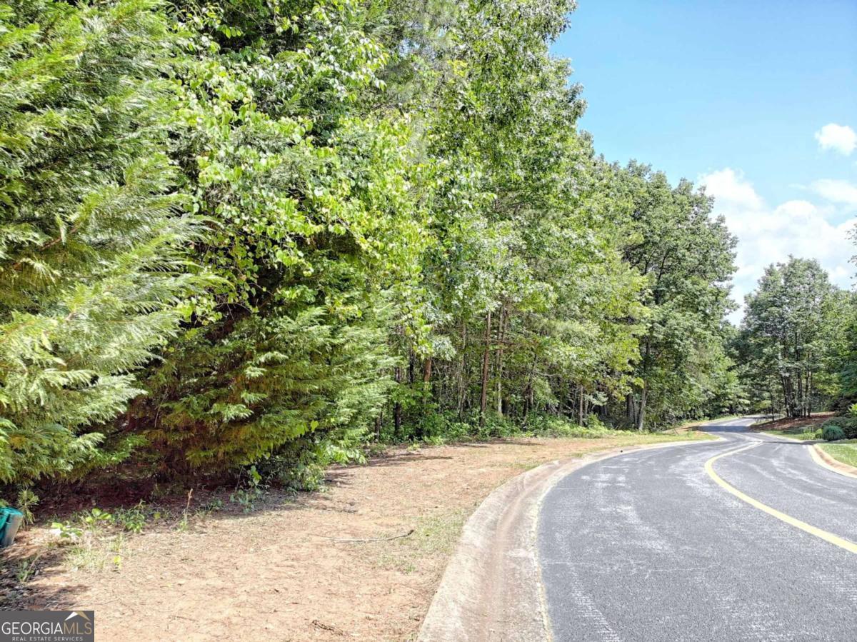 Photo of Listing #10509536