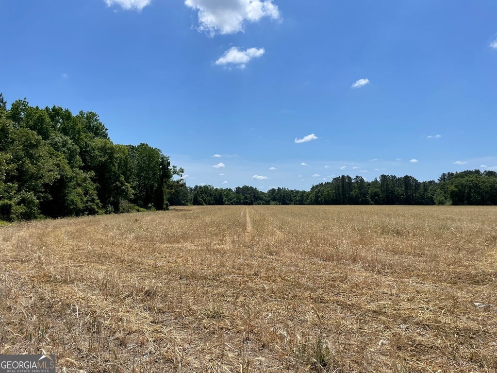 Old Moore Road, Portal