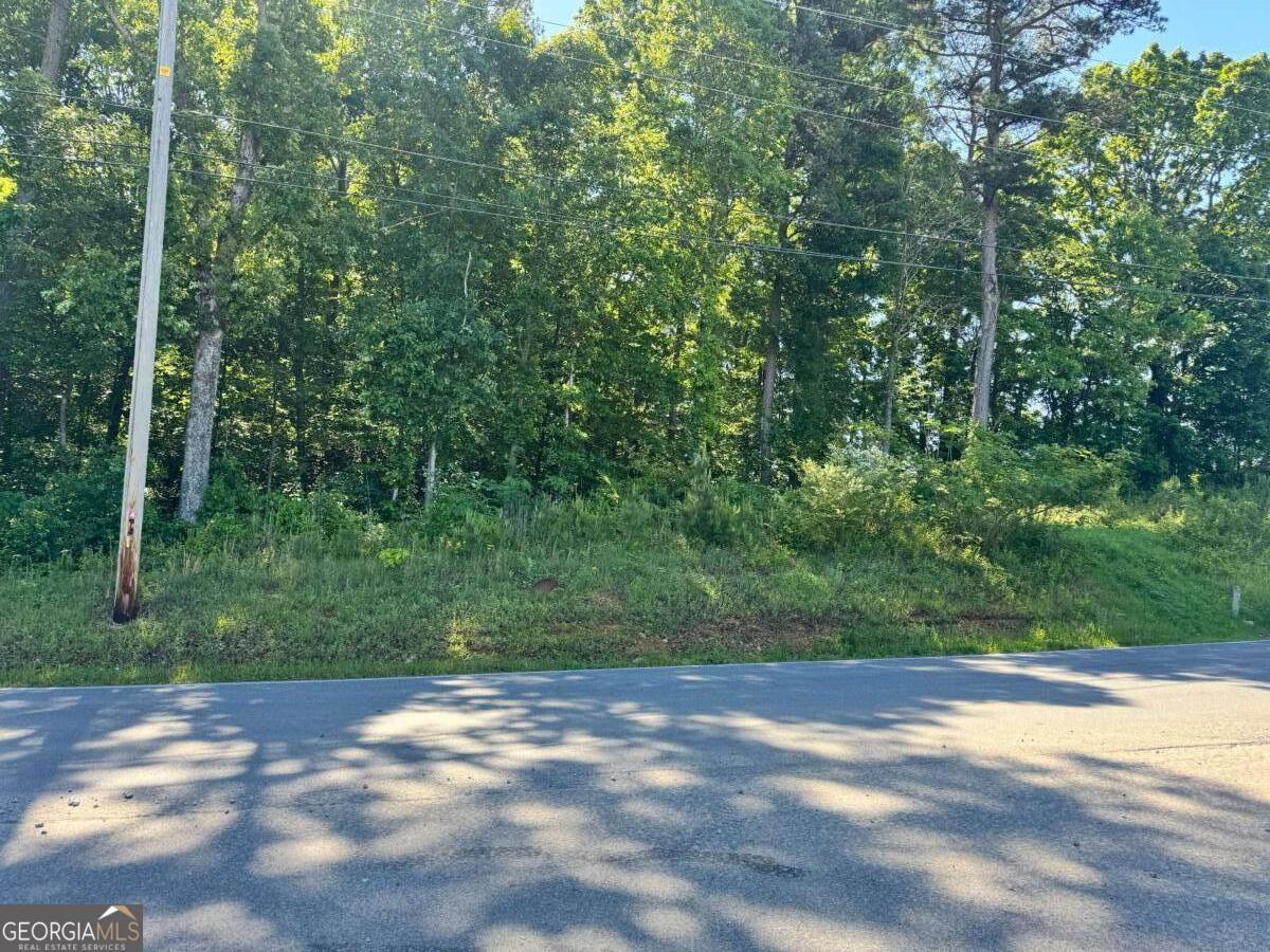 Photo of Listing #10515867