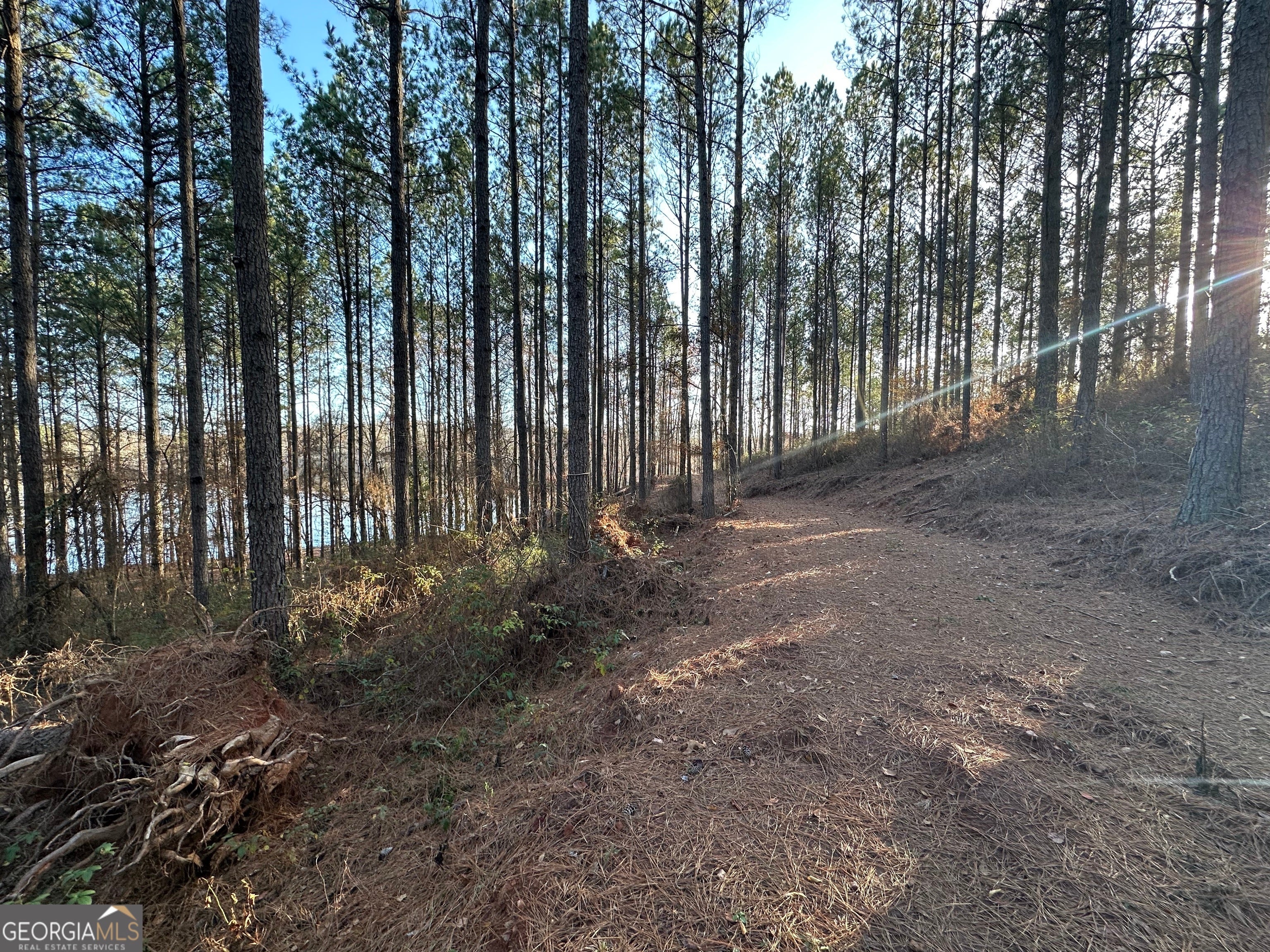 Photo of Listing #10528600