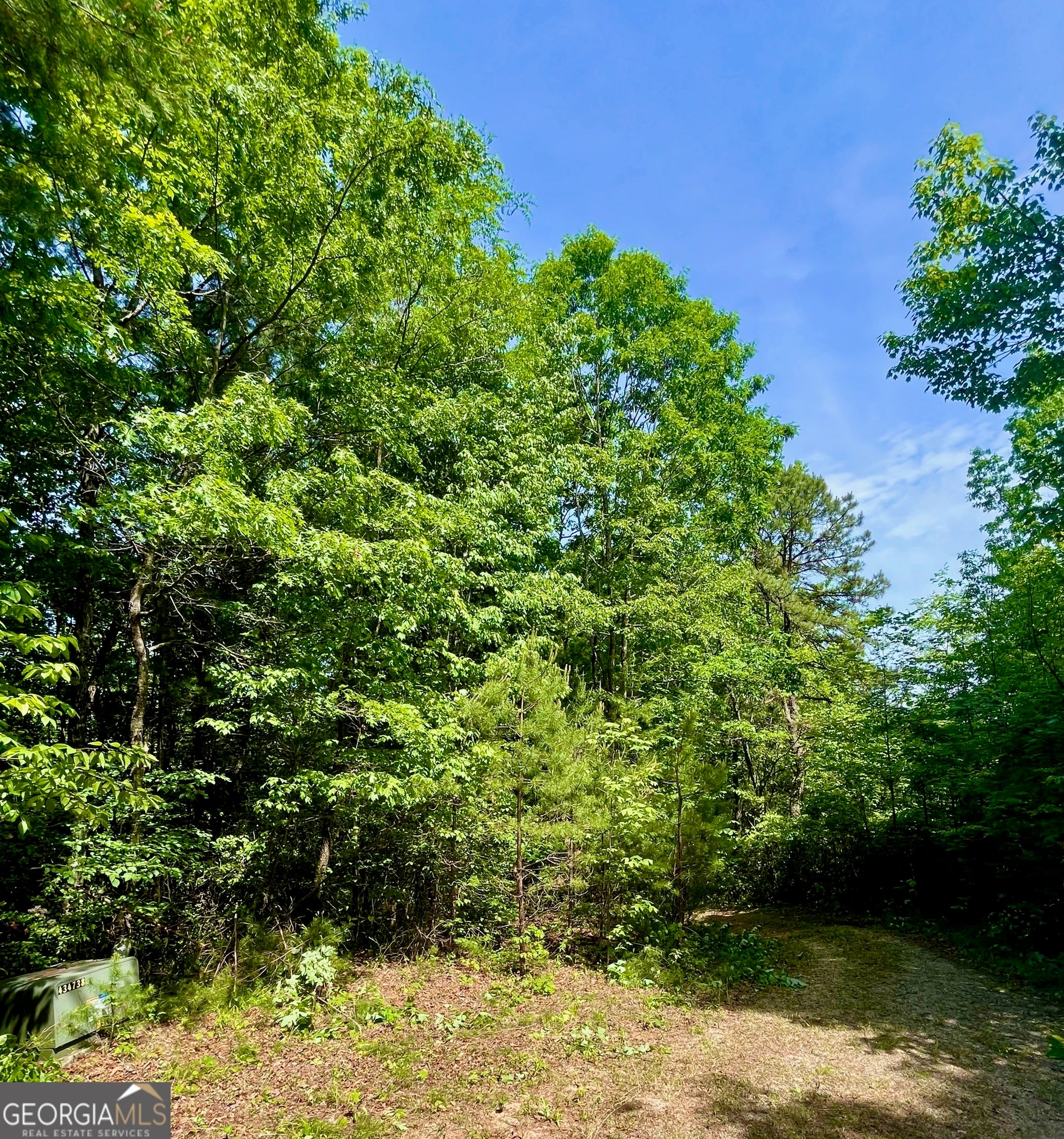 Photo of Listing #10529106