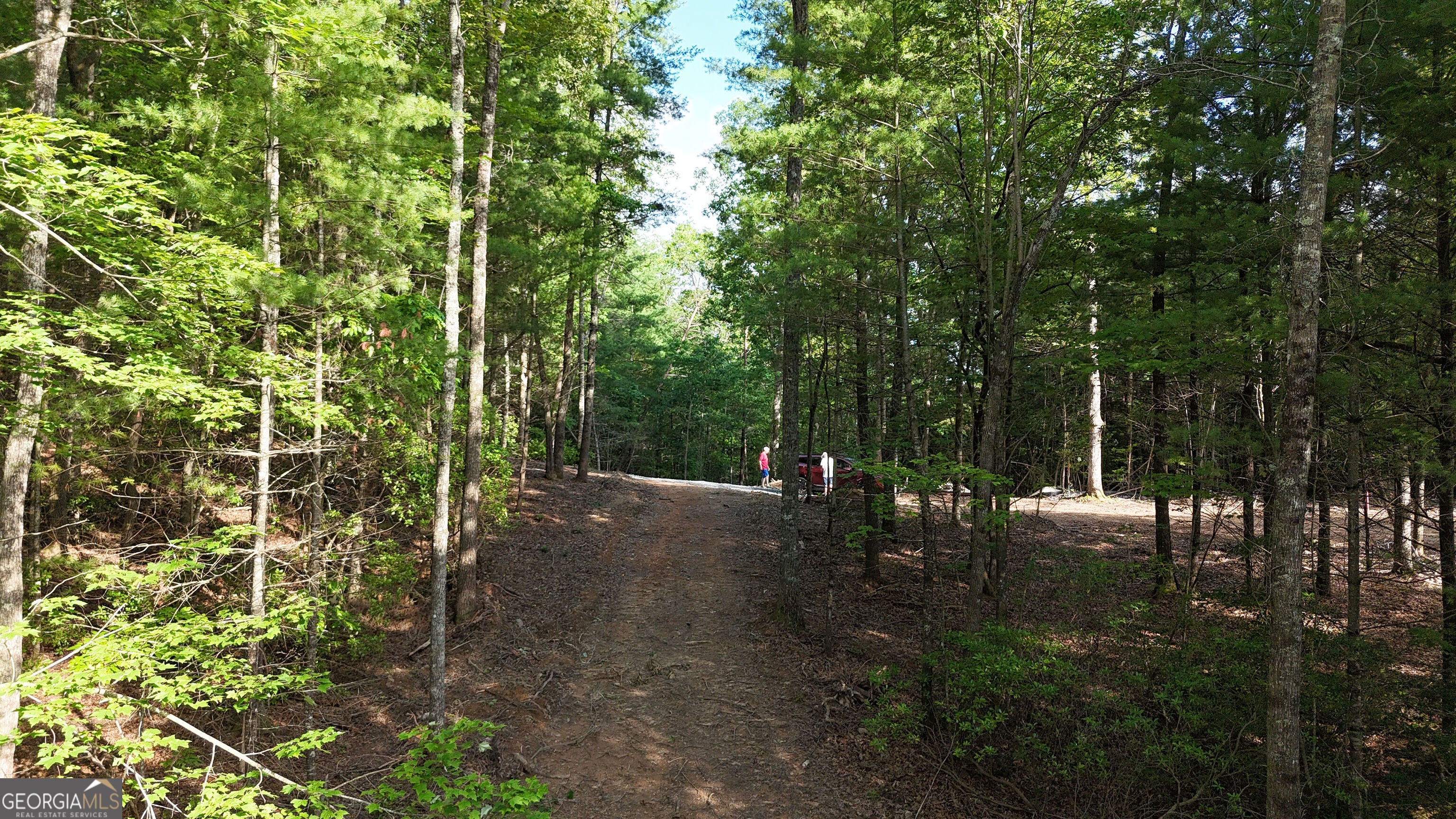 Photo of Listing #10531506