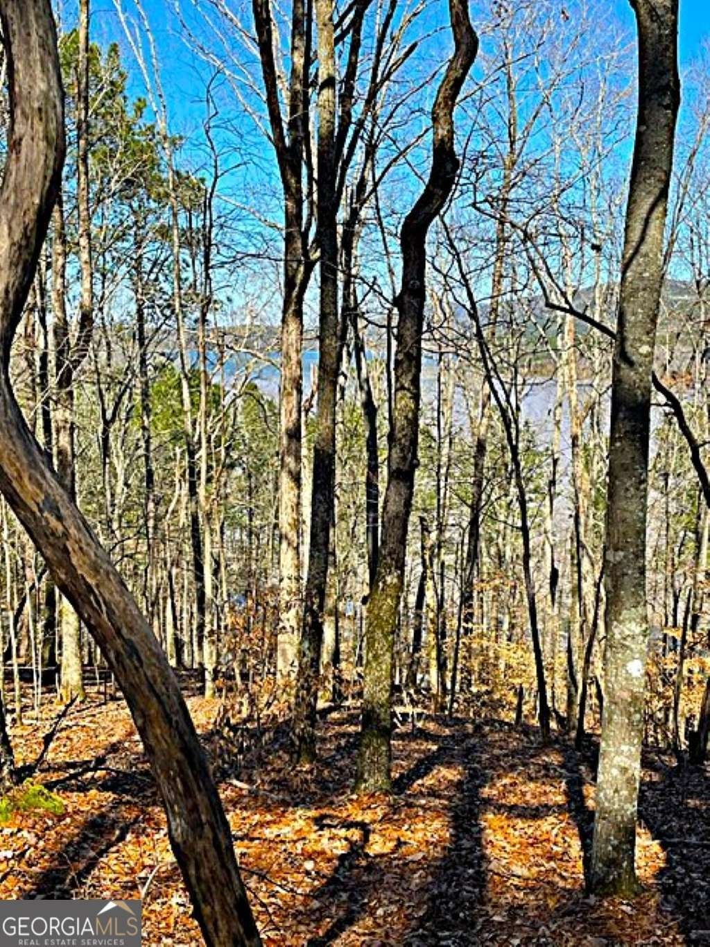 Photo of Listing #10531508