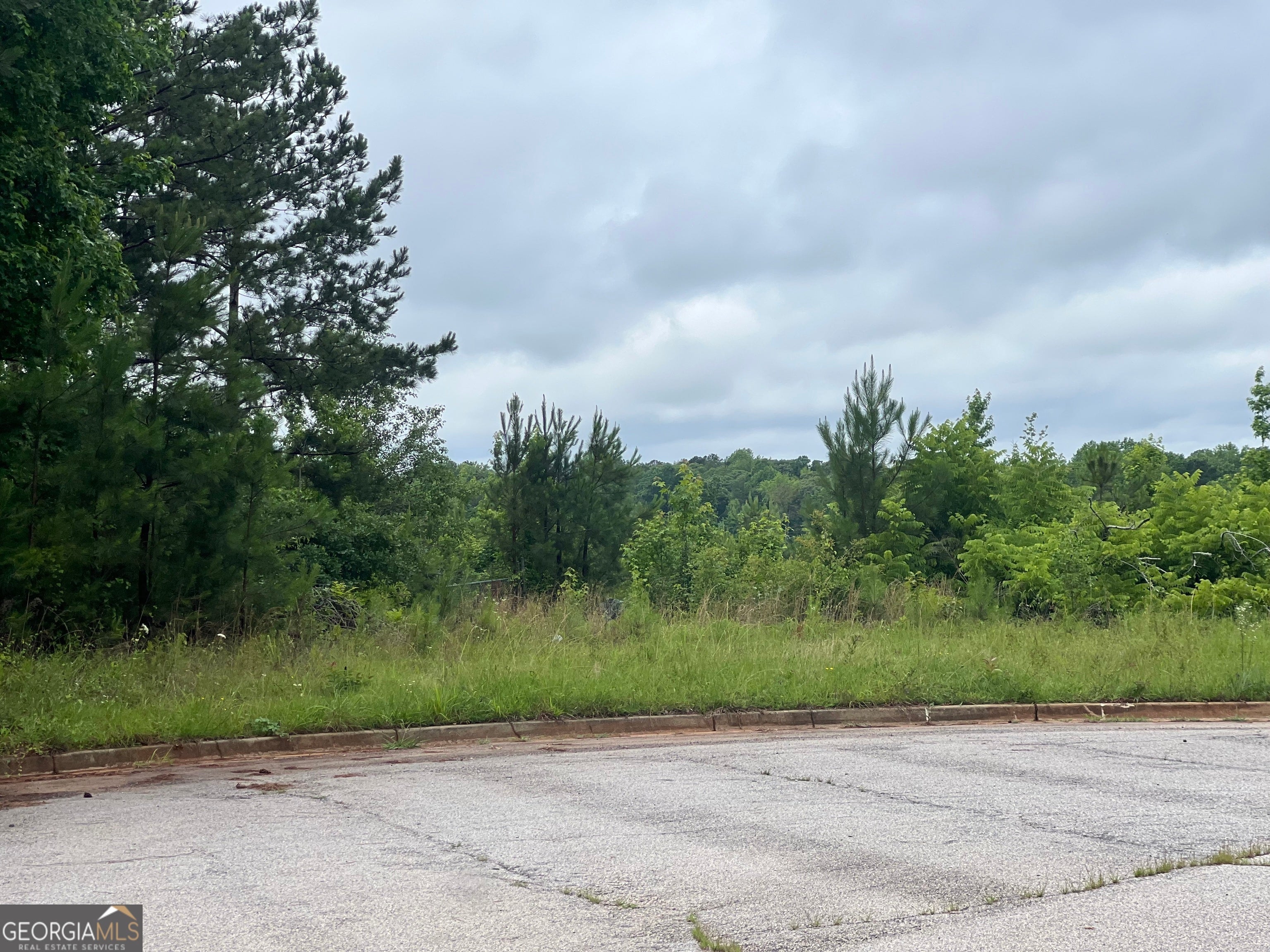 Photo of Listing #10533751