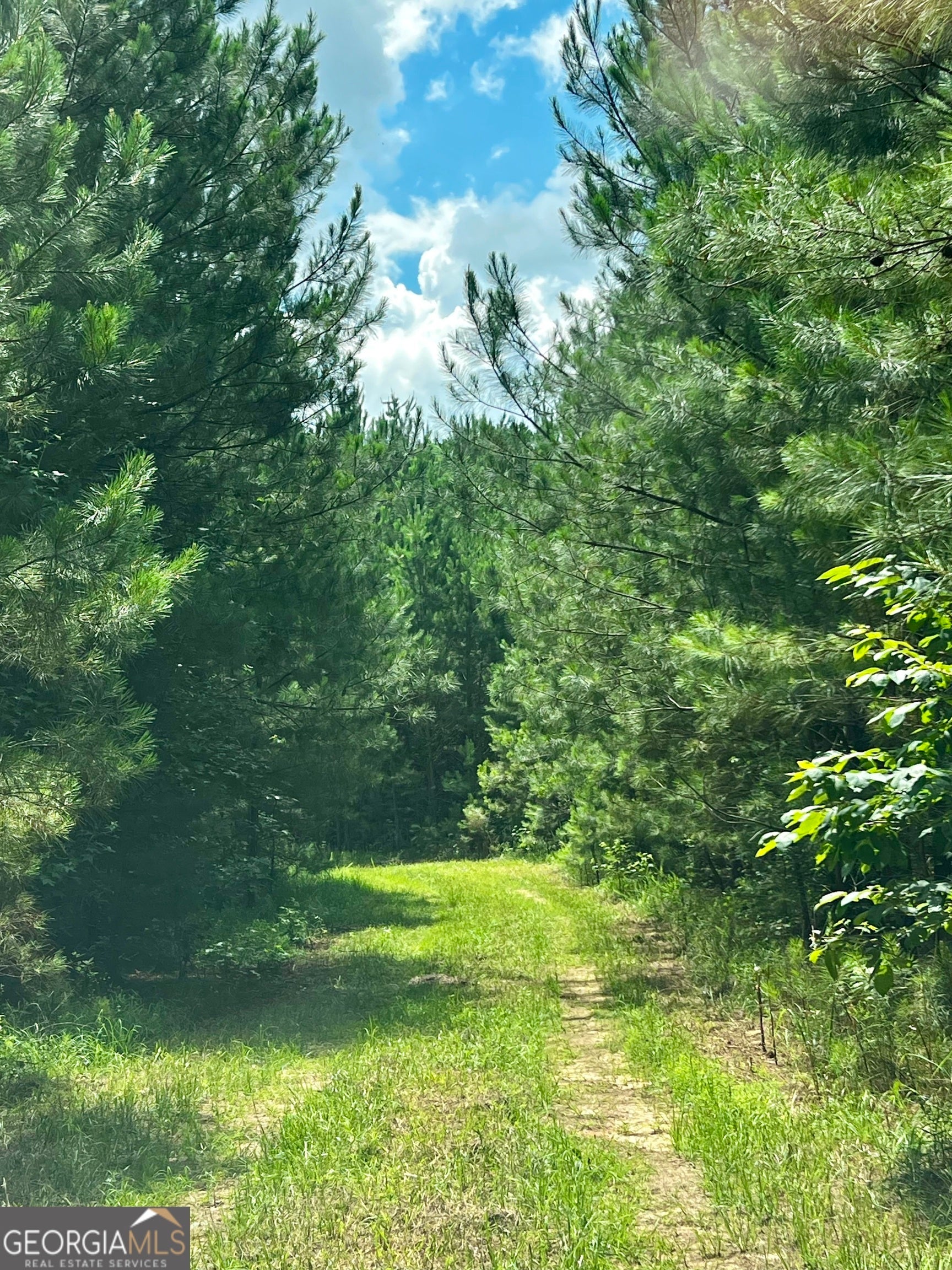 Photo of Listing #10537298