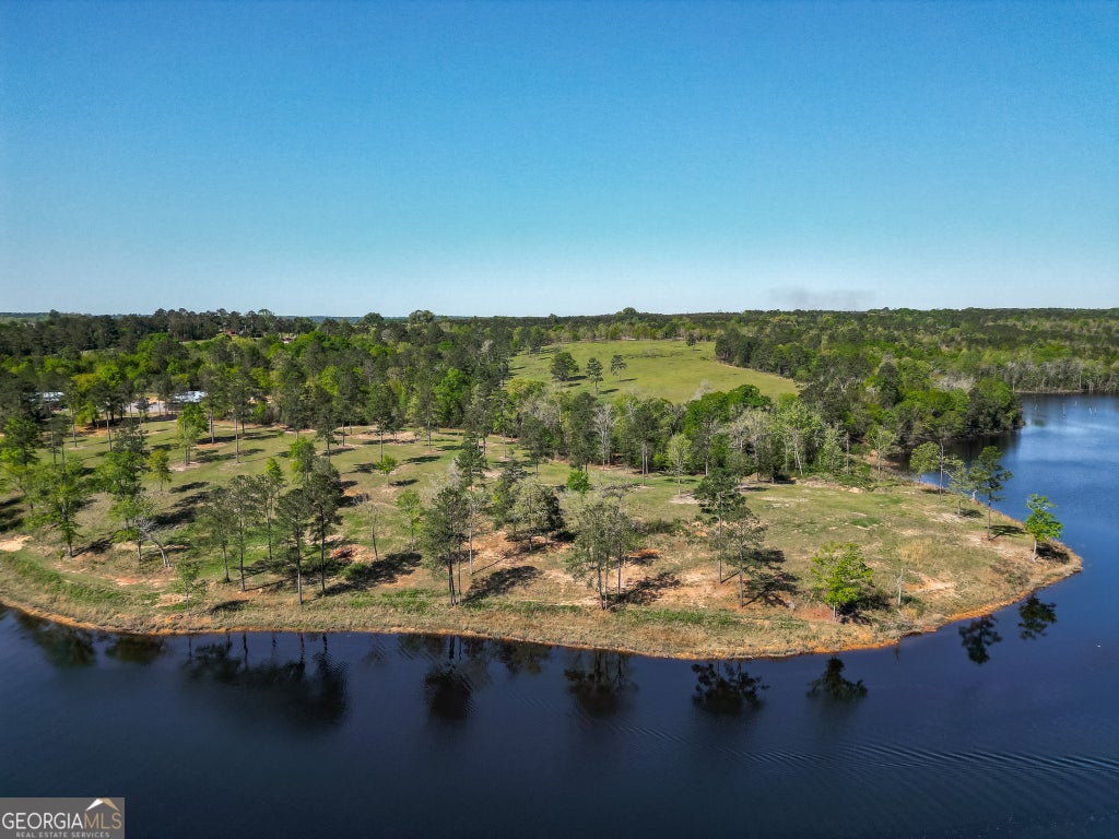 1009 Walter Wells Road, Buena Vista