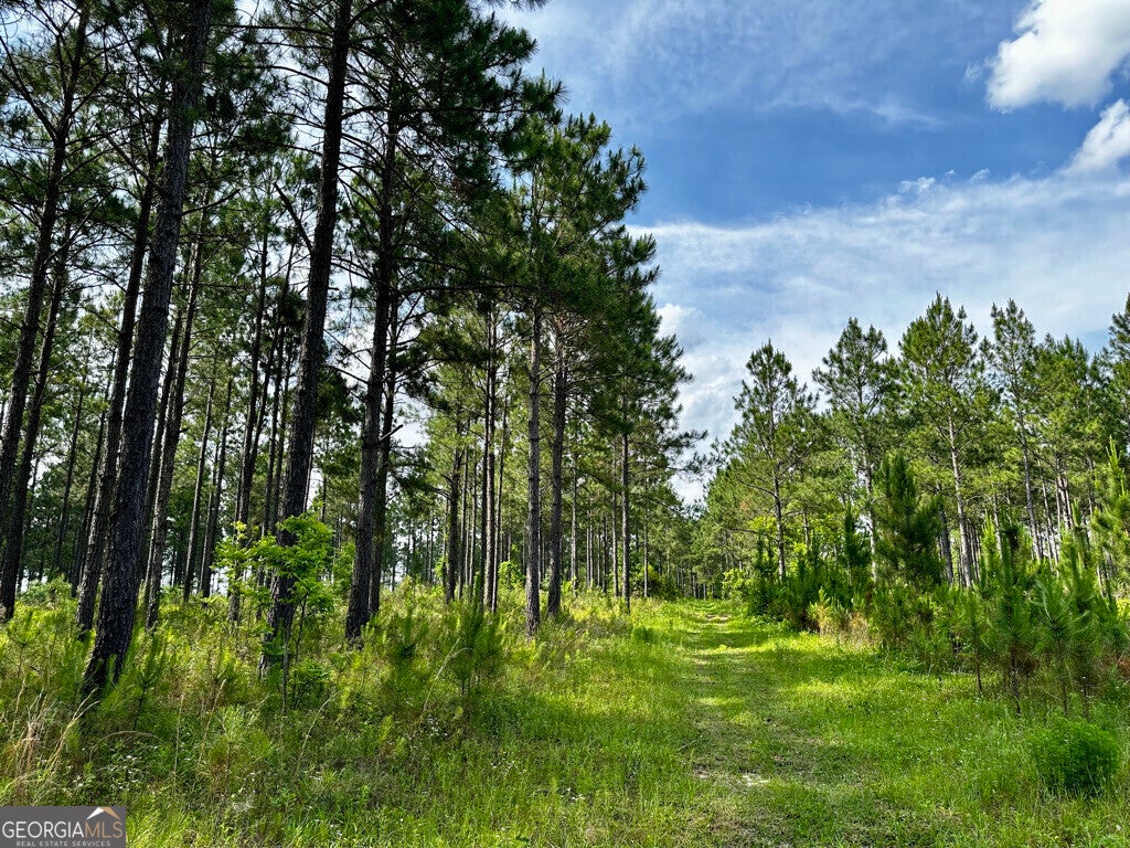 Photo of Listing #10542474