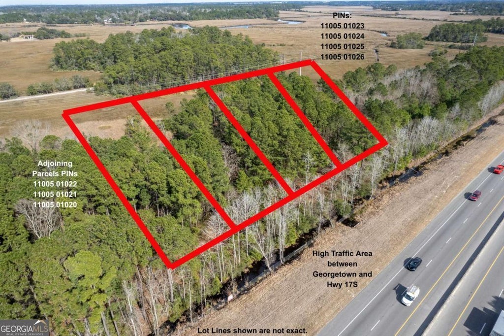 Abercorn Extension, Savannah