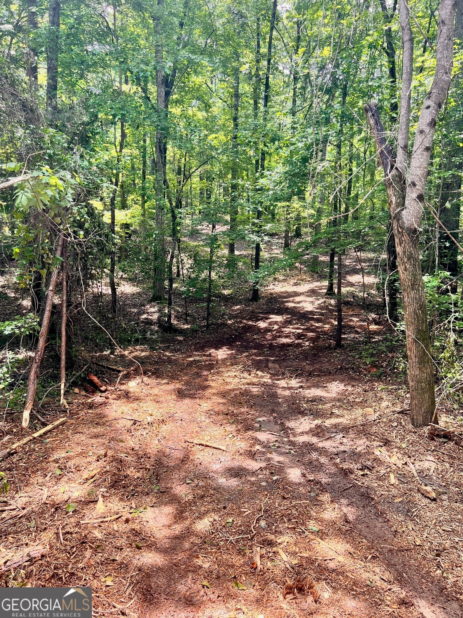 Photo of Listing #10545169