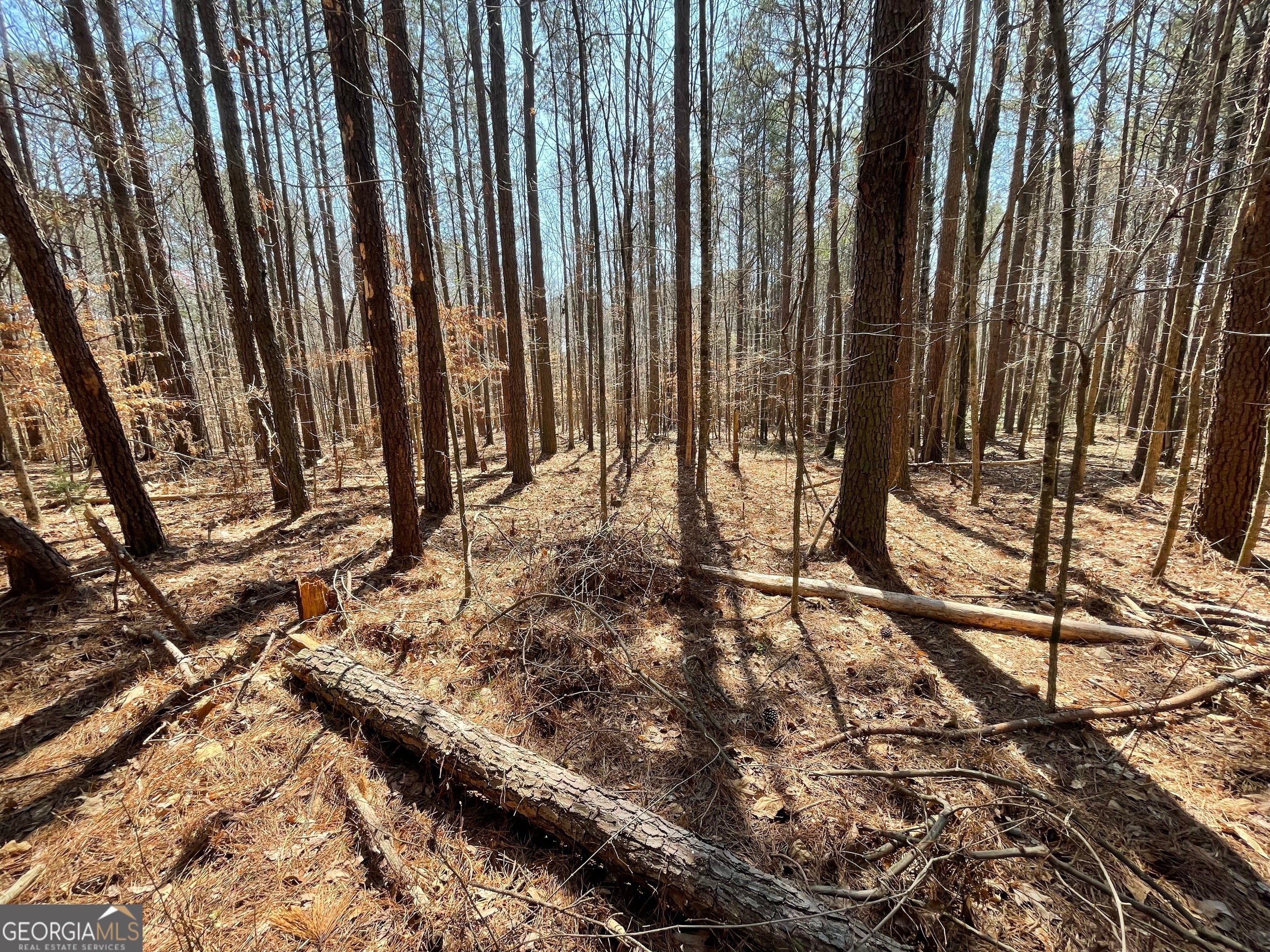 Photo of Listing #10550489