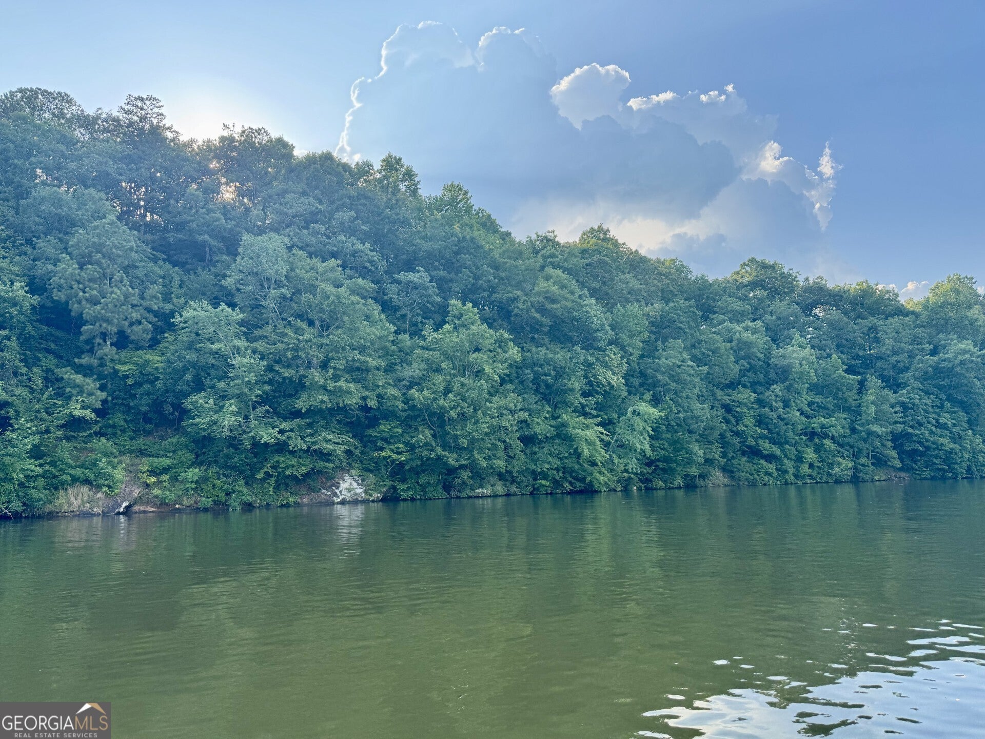 Photo of Listing #10551133