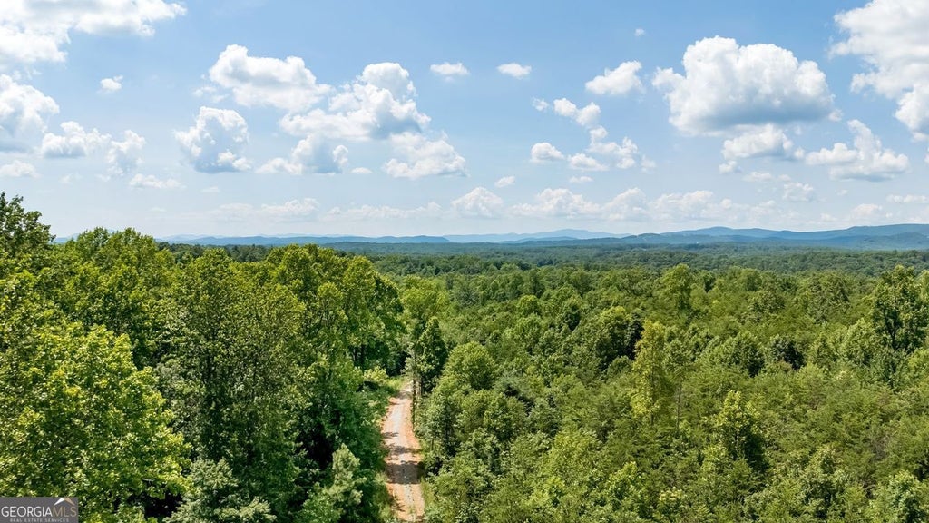 Buckhorn Road, Clarkesville