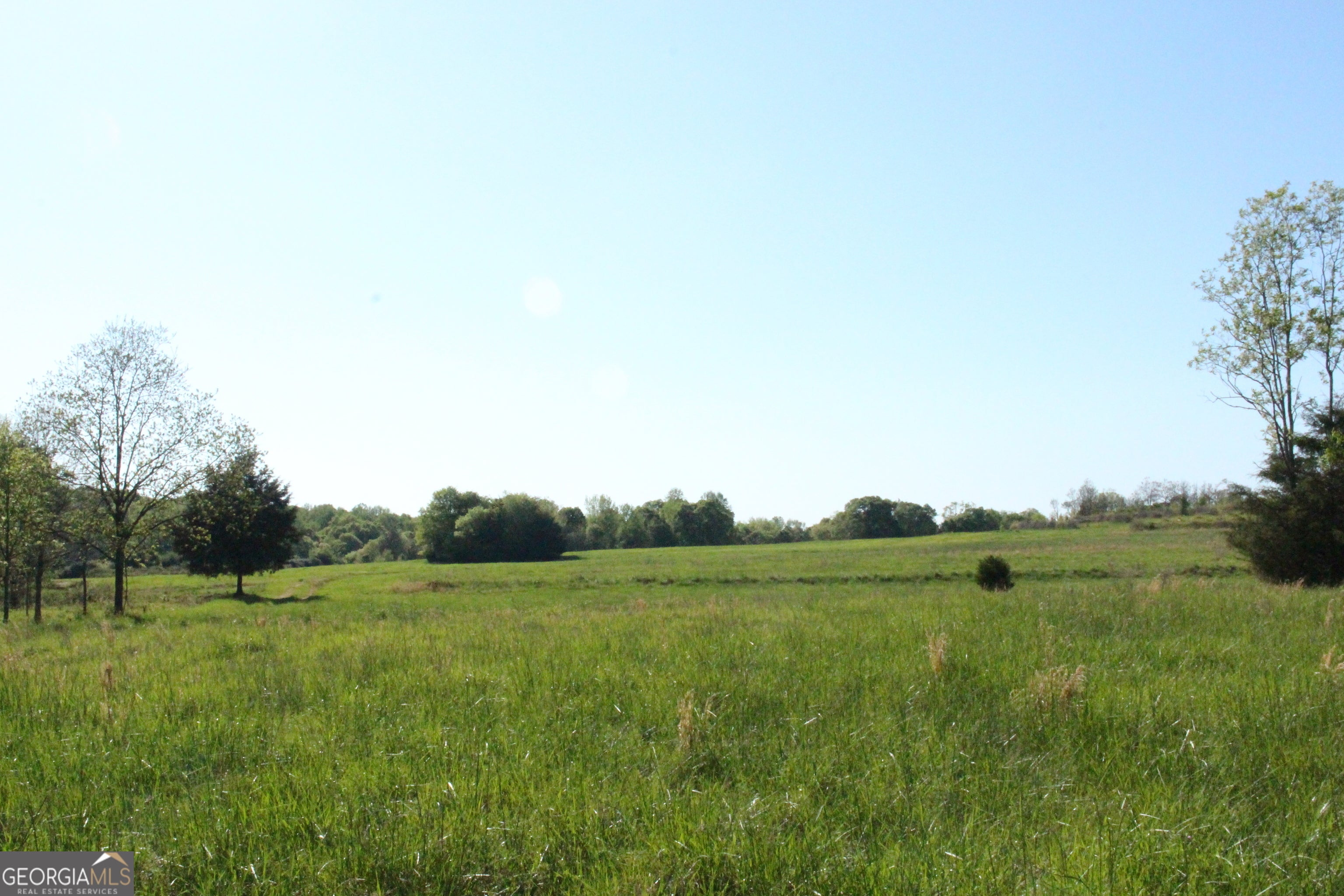 Photo of Listing #10557515