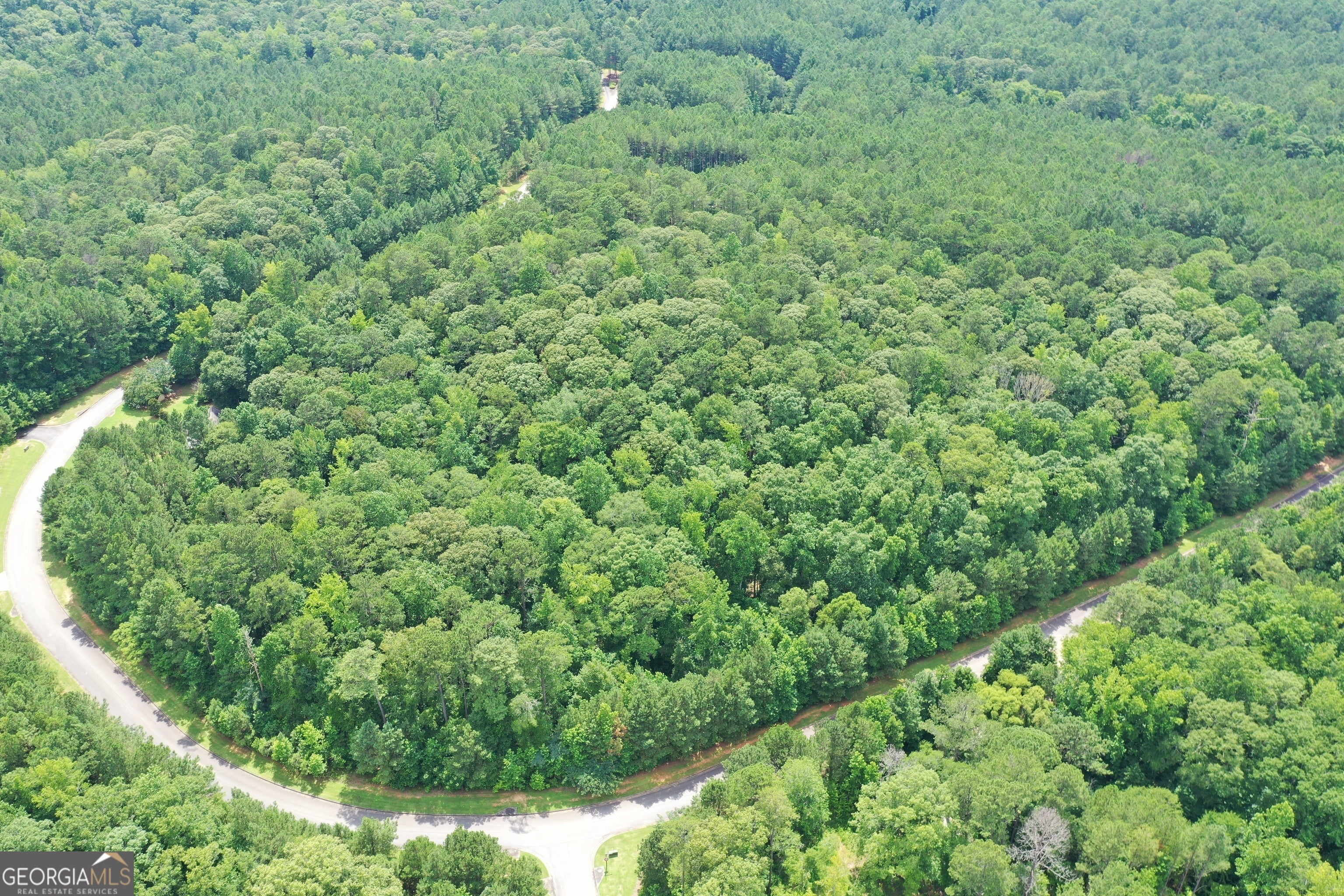 Photo of Listing #10558464