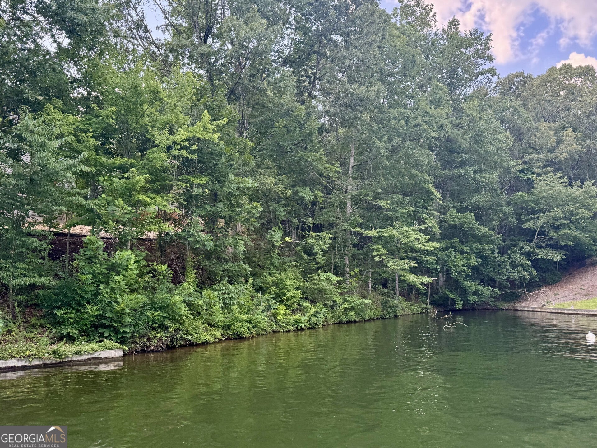 Photo of Listing #10558946