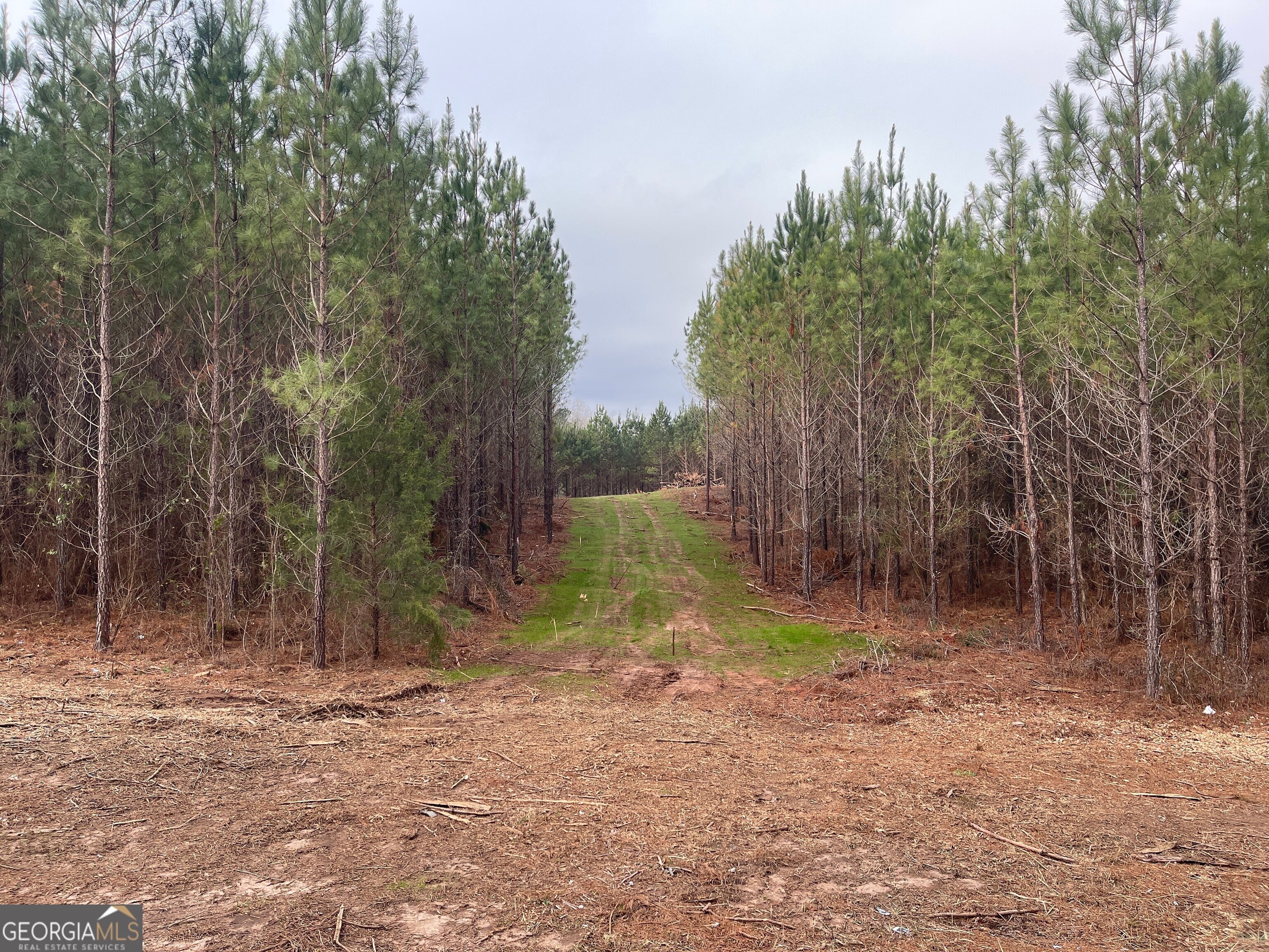 Photo of Listing #10559612