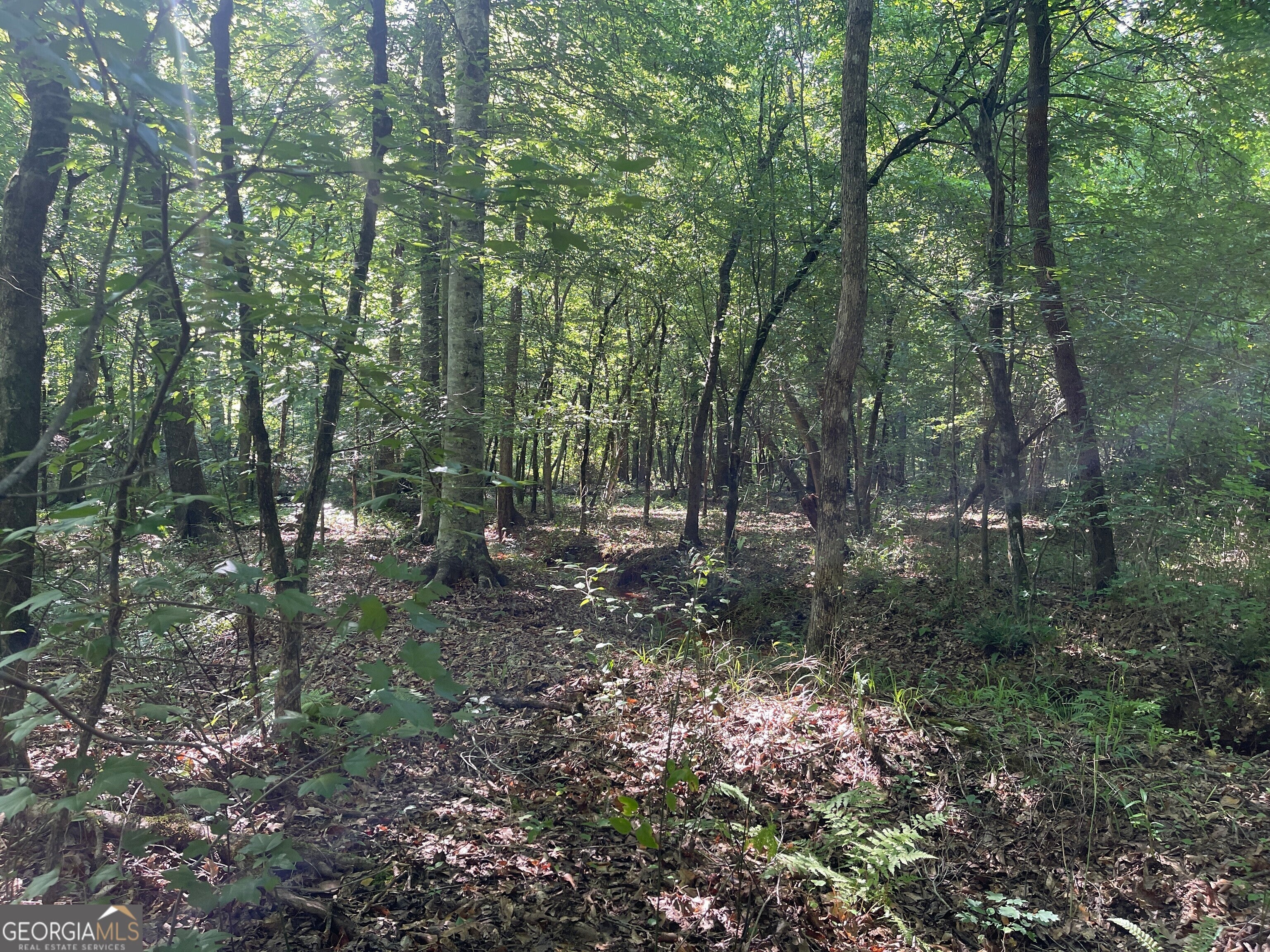 Photo of Listing #10559612