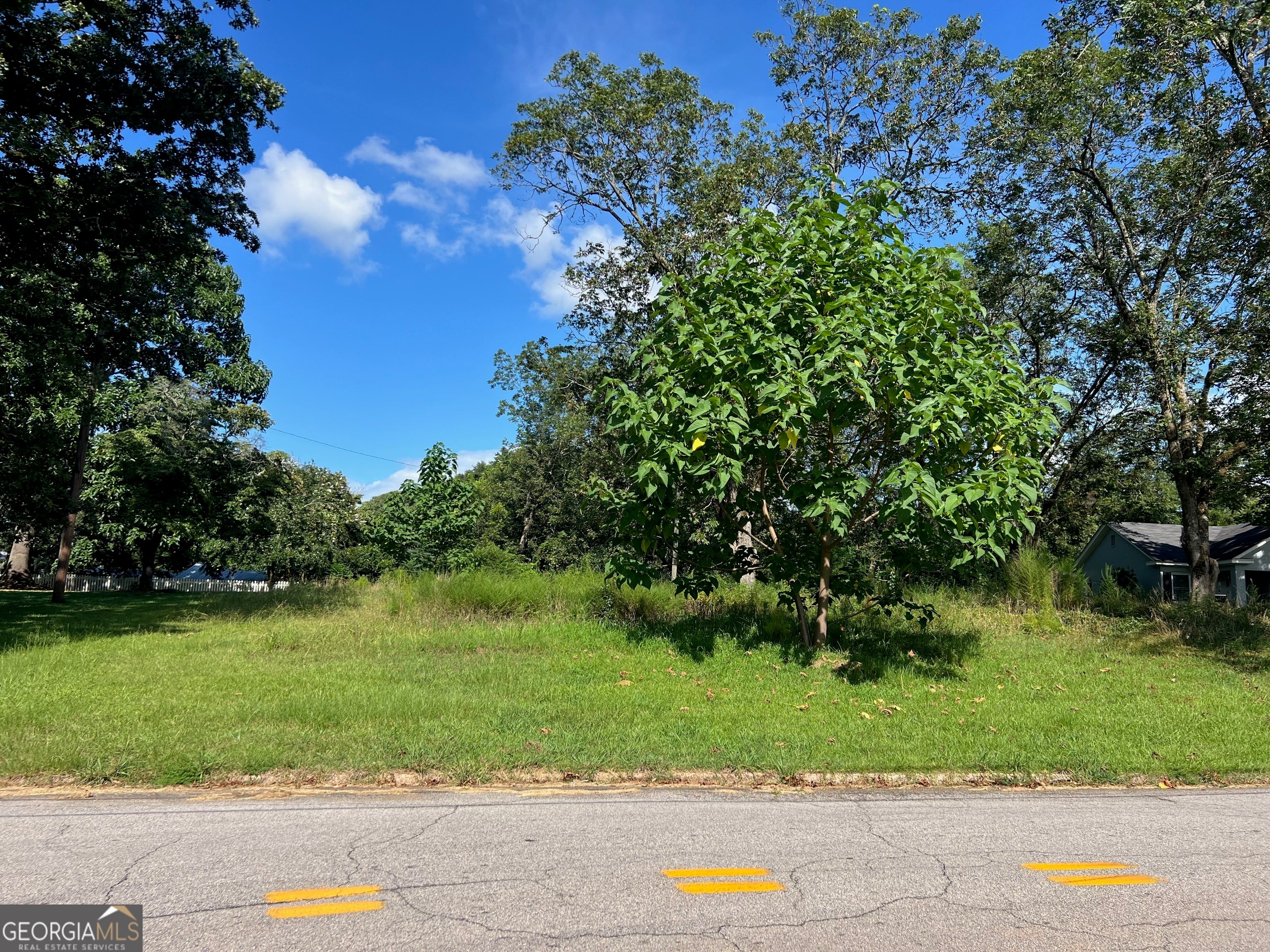 Photo of Listing #10565628