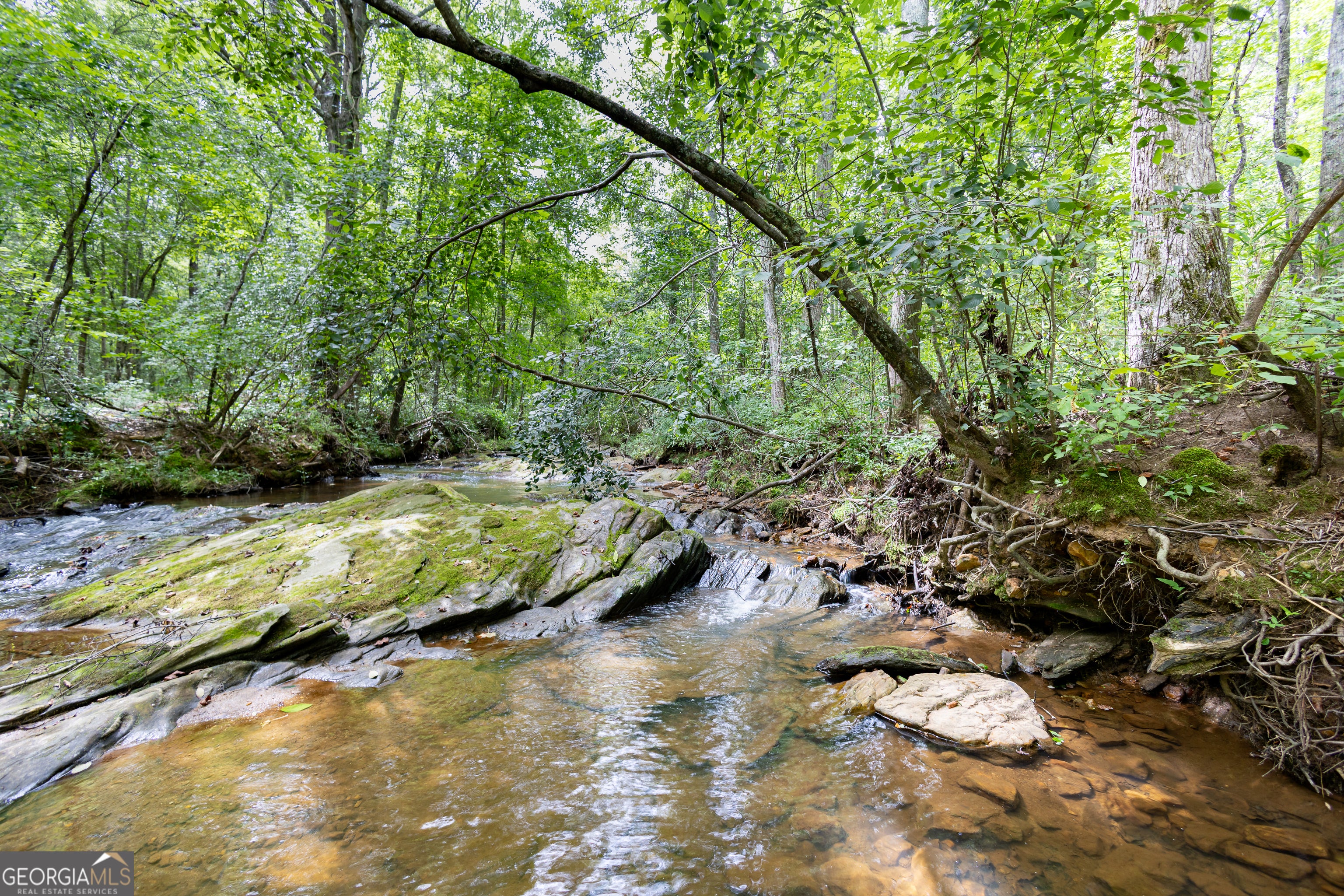 Photo of Listing #10569108