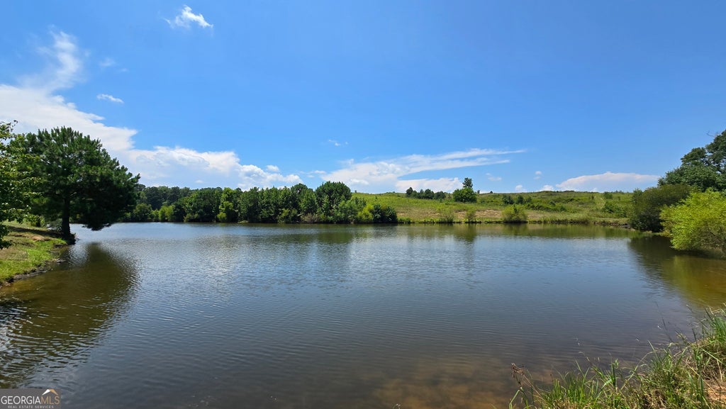 361 Allen Road, Musella