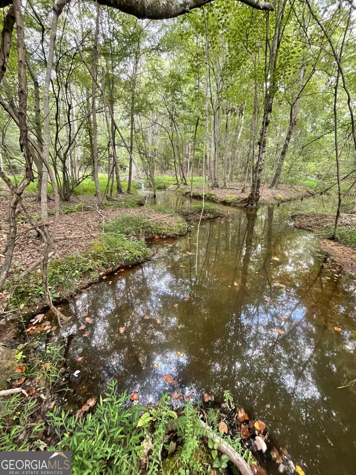 Photo of Listing #10578118