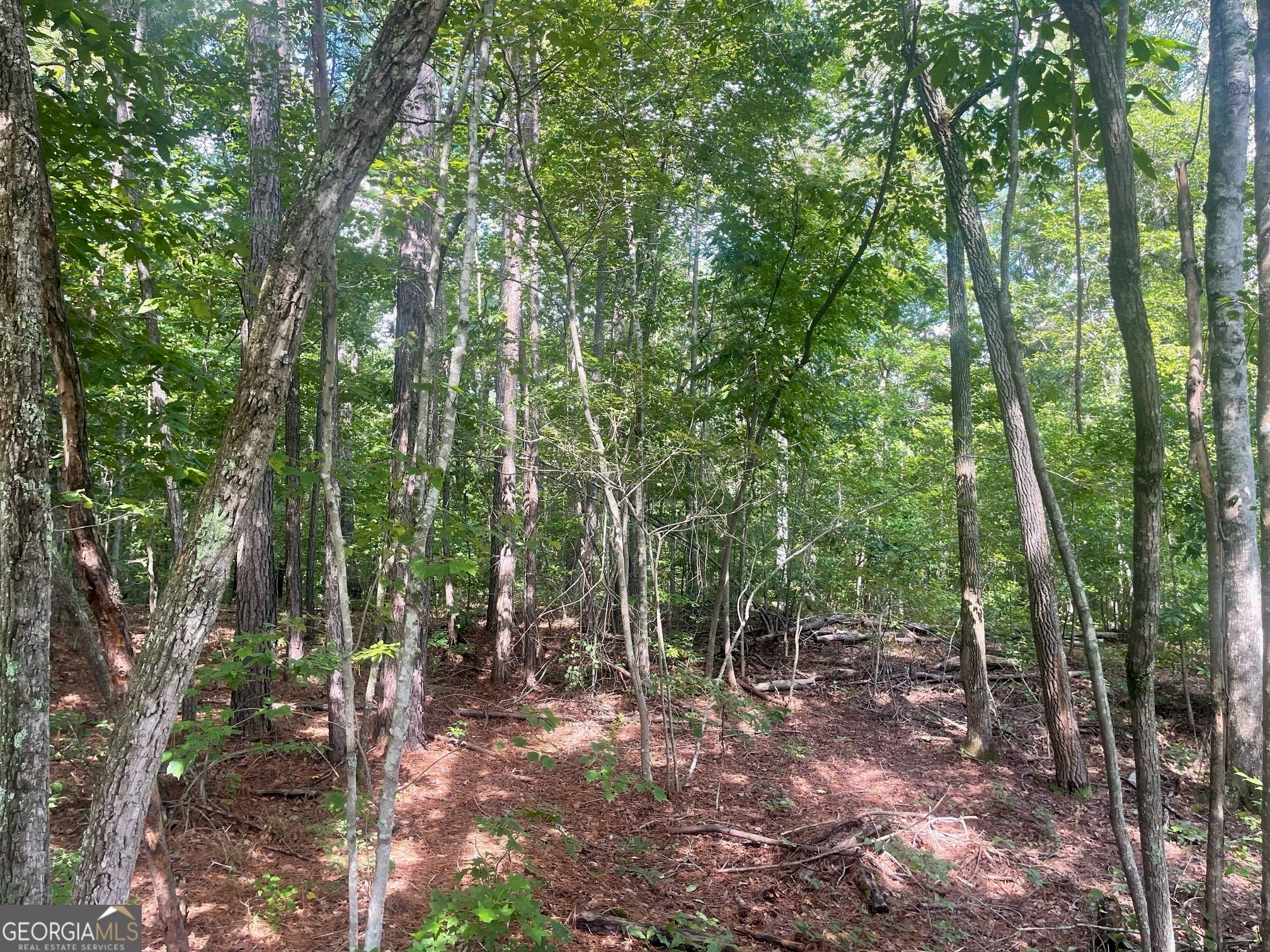 Photo of Listing #10579299