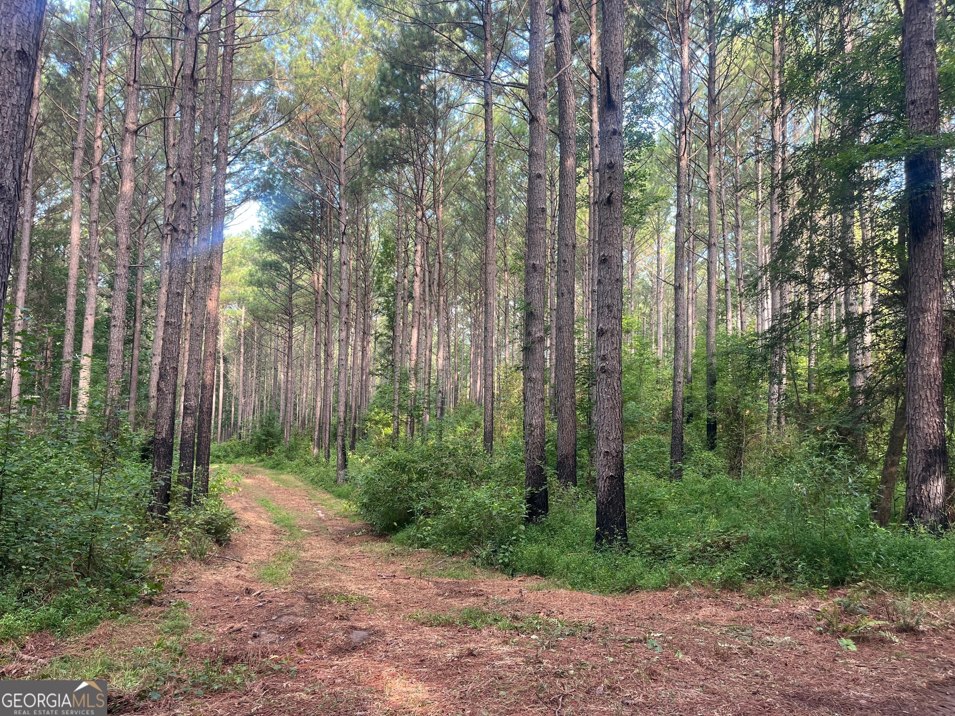 Photo of Listing #10587580