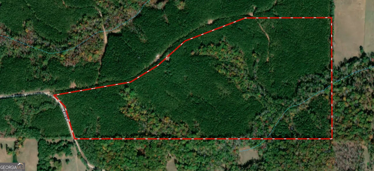 Photo of Listing #10596060