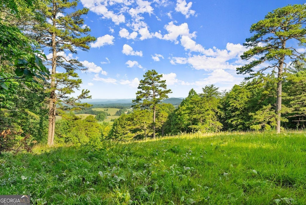 Westmoreland Road, Cleveland