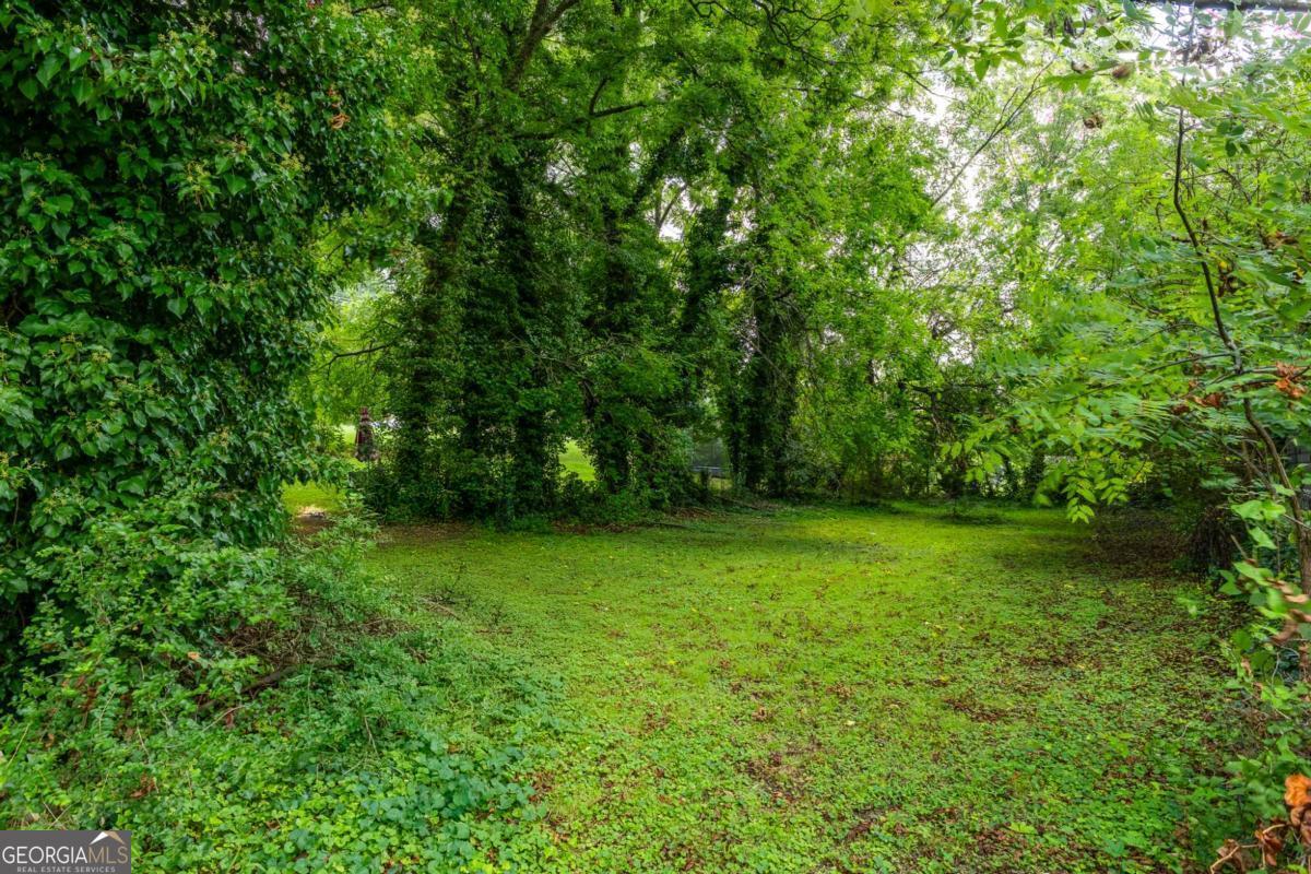 Photo of Listing #10610169