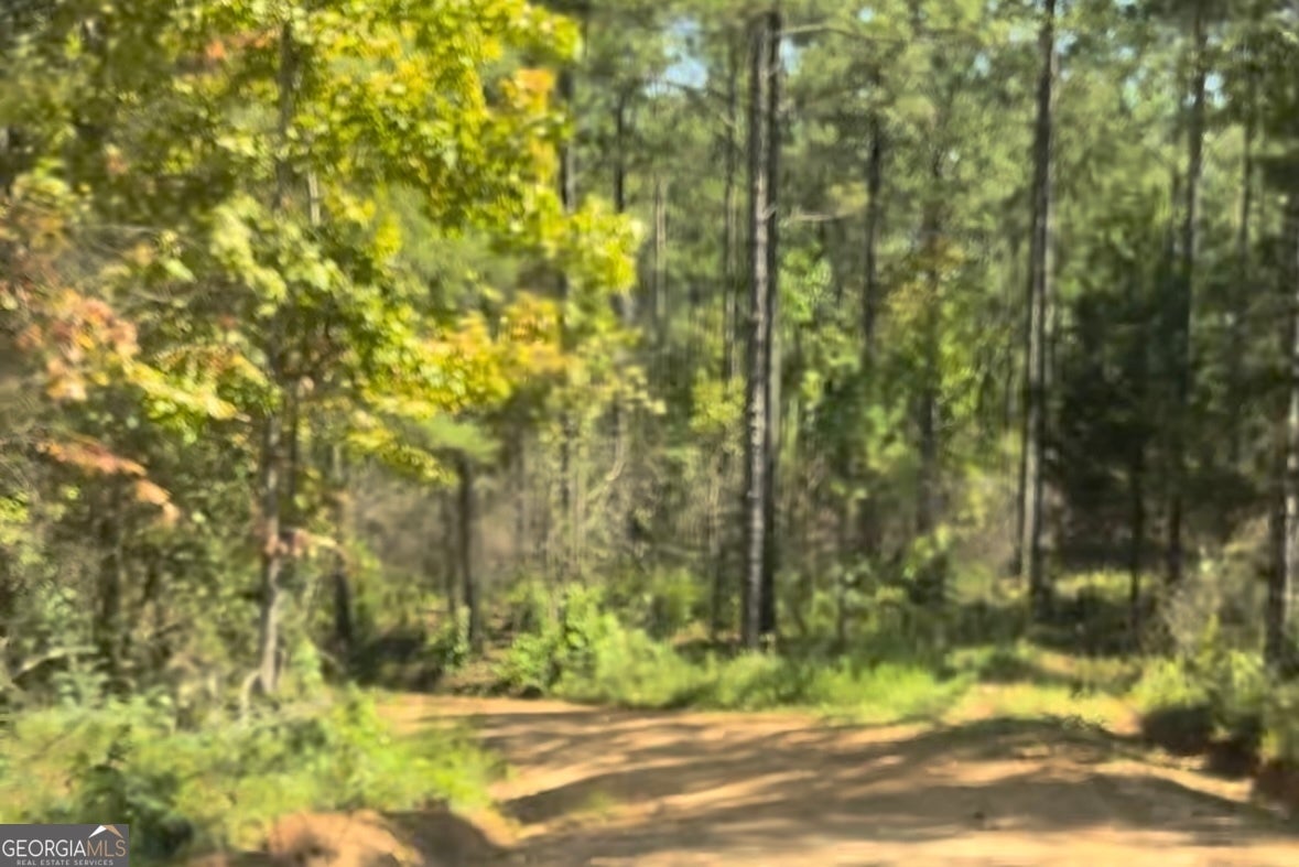 Photo of Listing #10612395