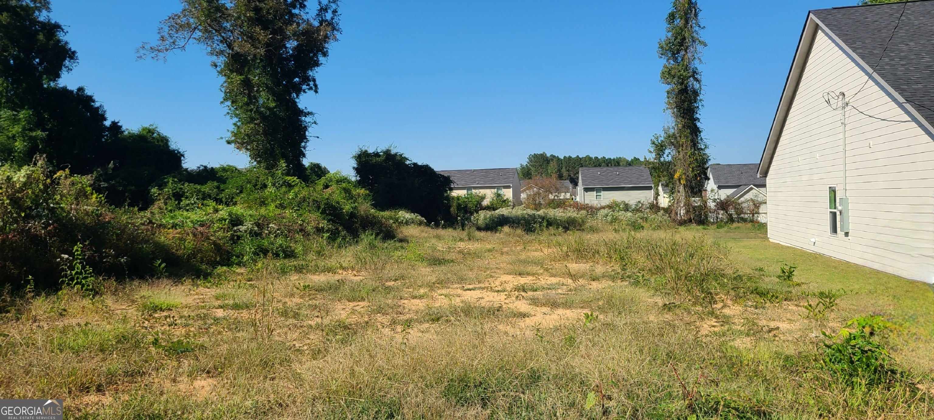 Photo of Listing #10618156