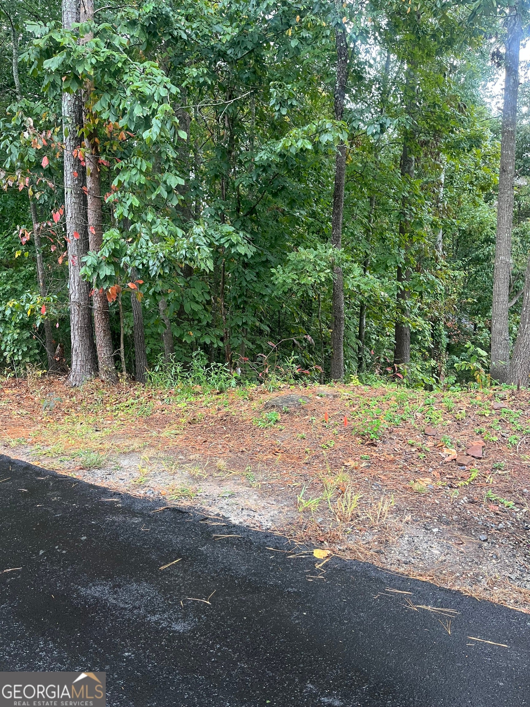 Photo of Listing #10619540