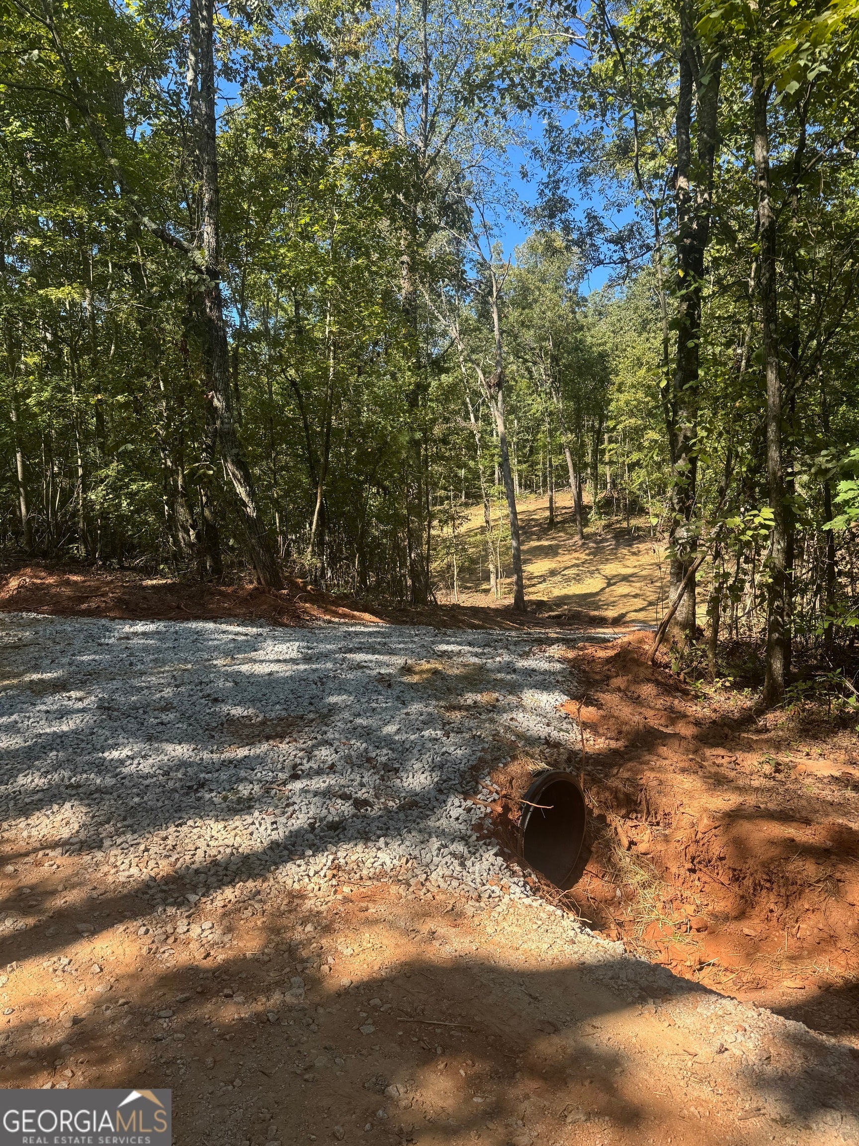 Photo of Listing #10620491