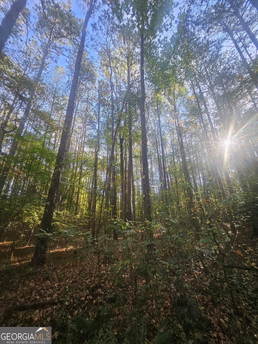 4861 Moon Road, Powder Springs