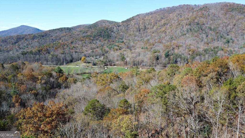 Benfield Lane, Clarkesville