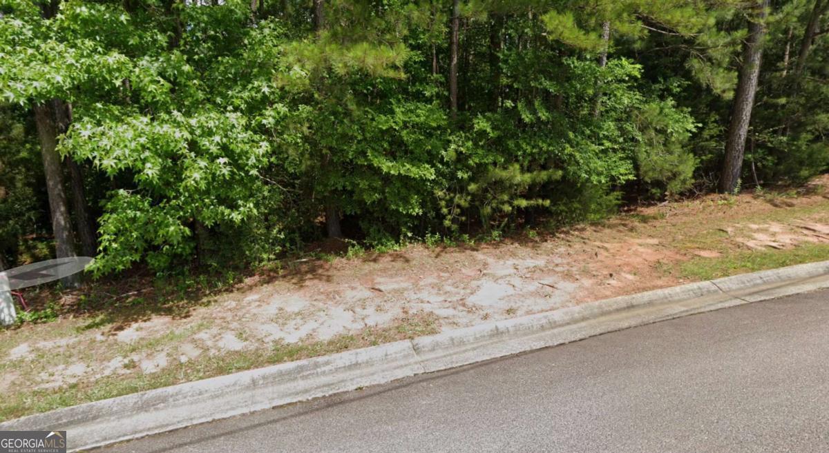 Photo of Listing #10641286