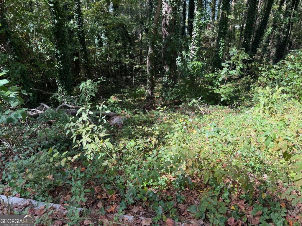 Malvin Drive Sw, Austell