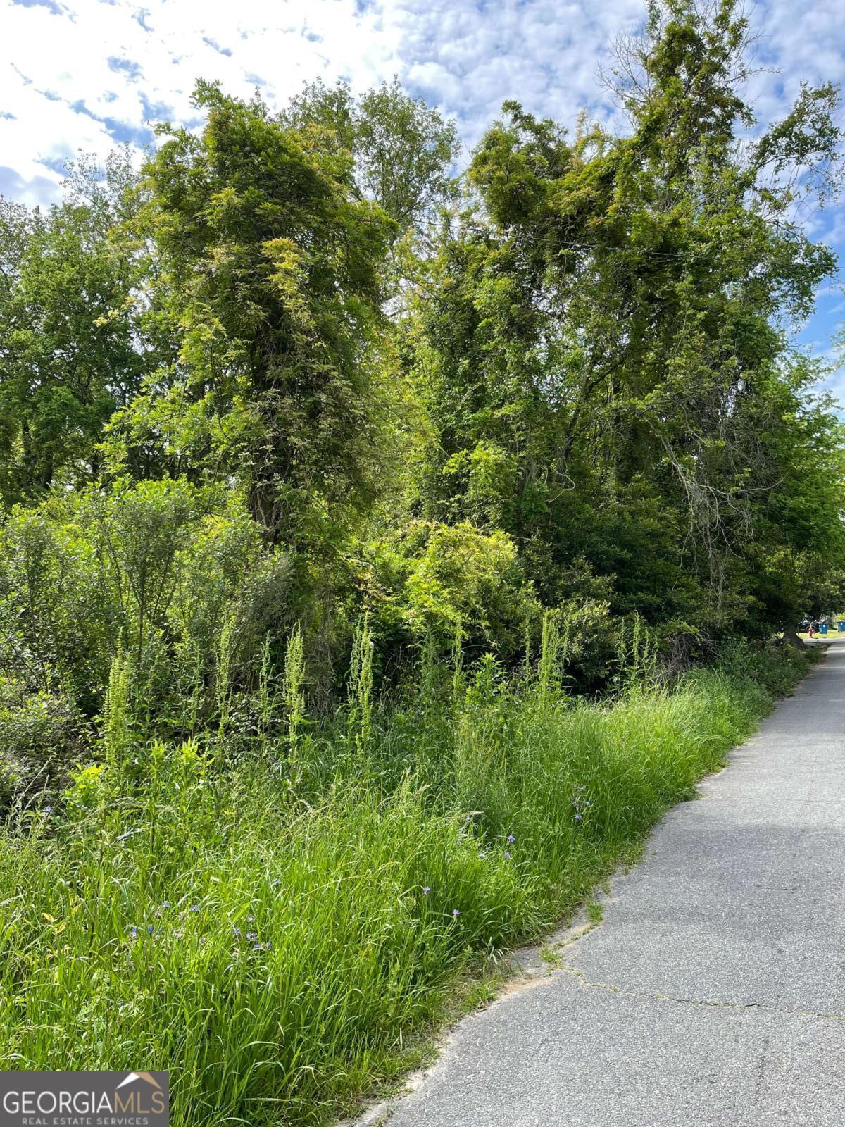 Photo of Listing #10643227