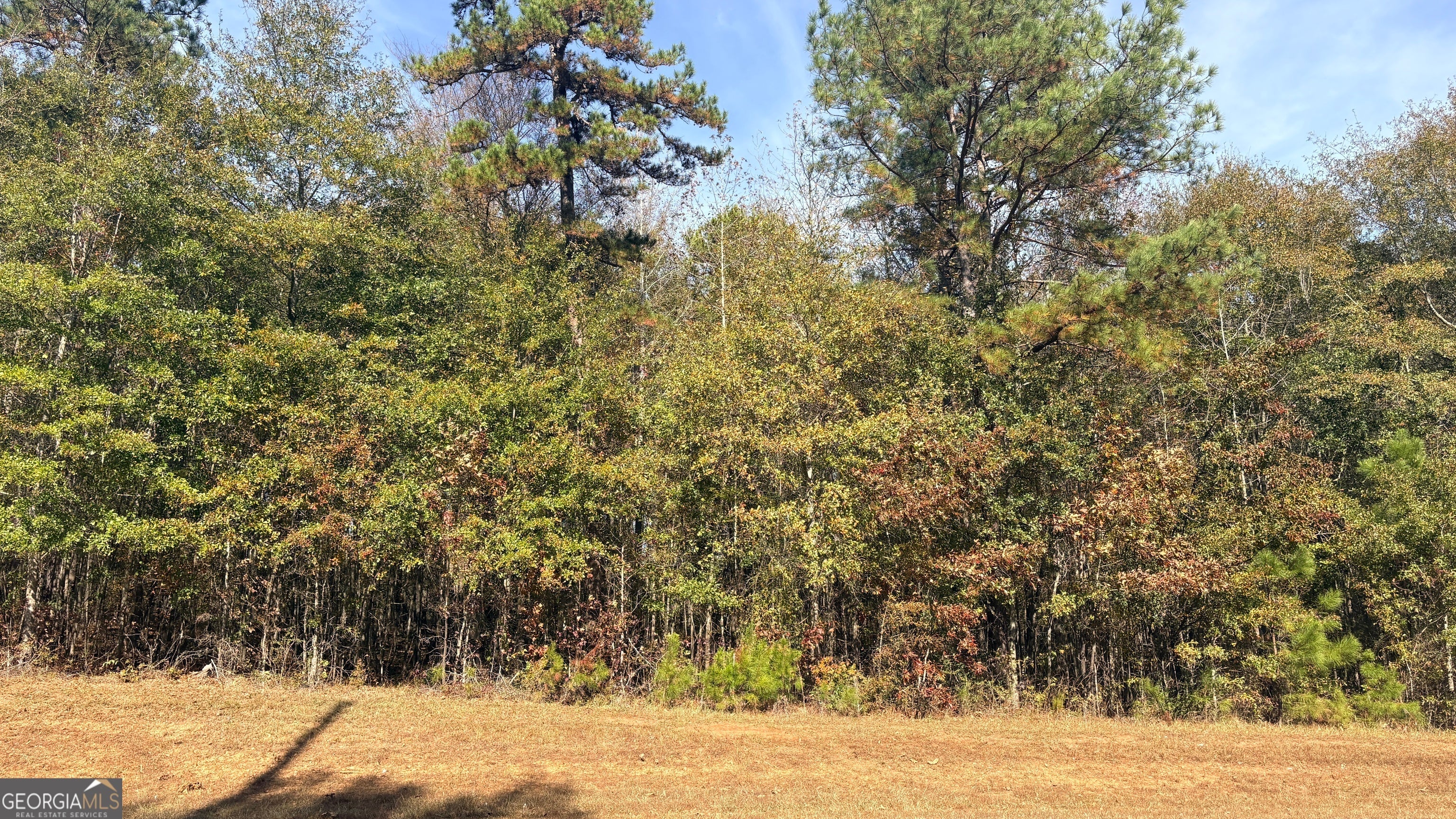 Photo of Listing #10644117