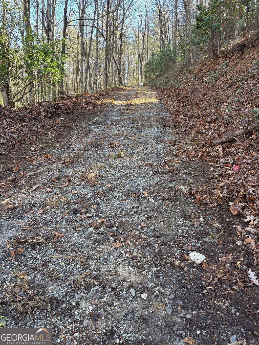 Amaryllis Lane, Tiger