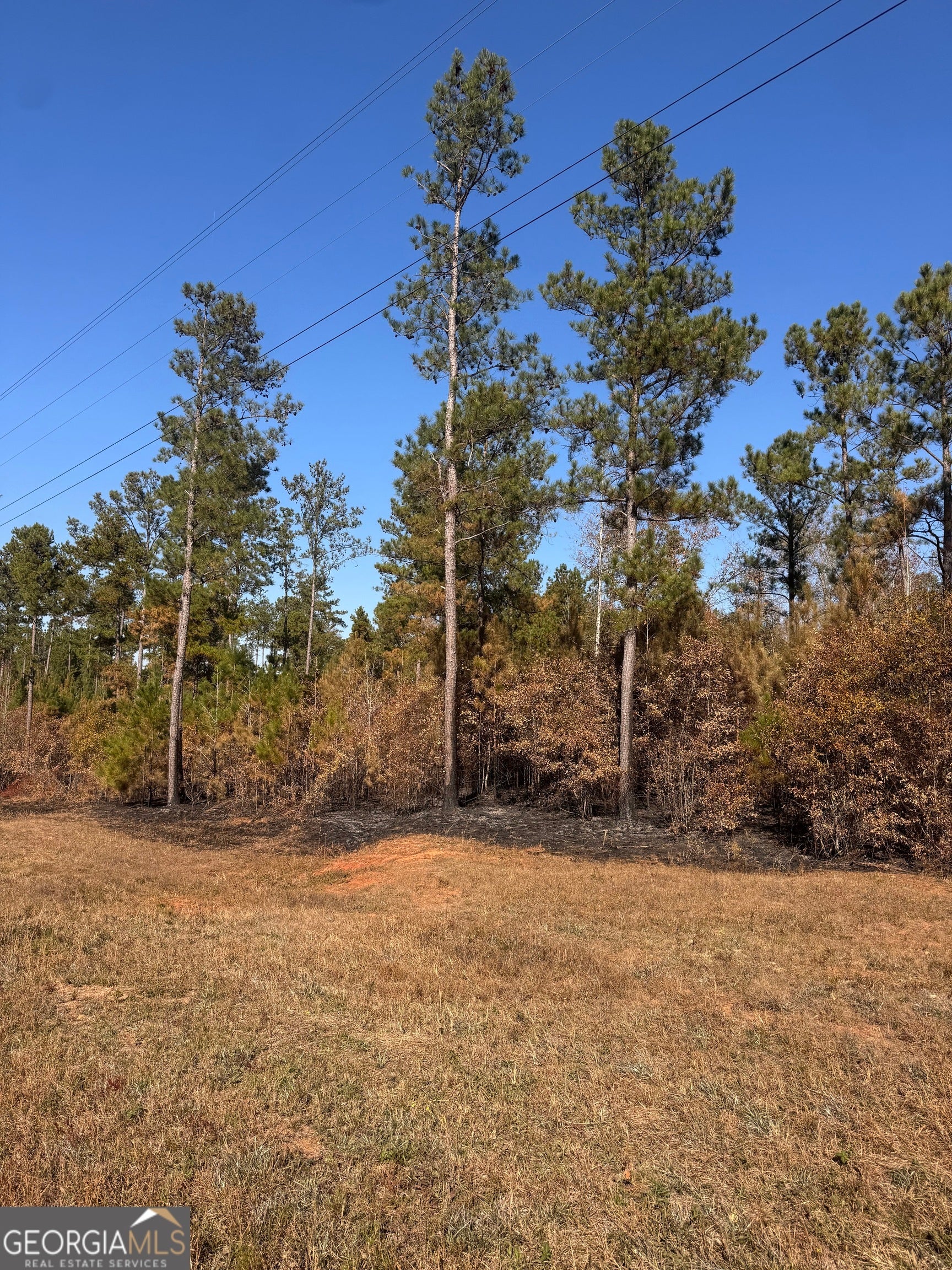 Photo of Listing #10648210