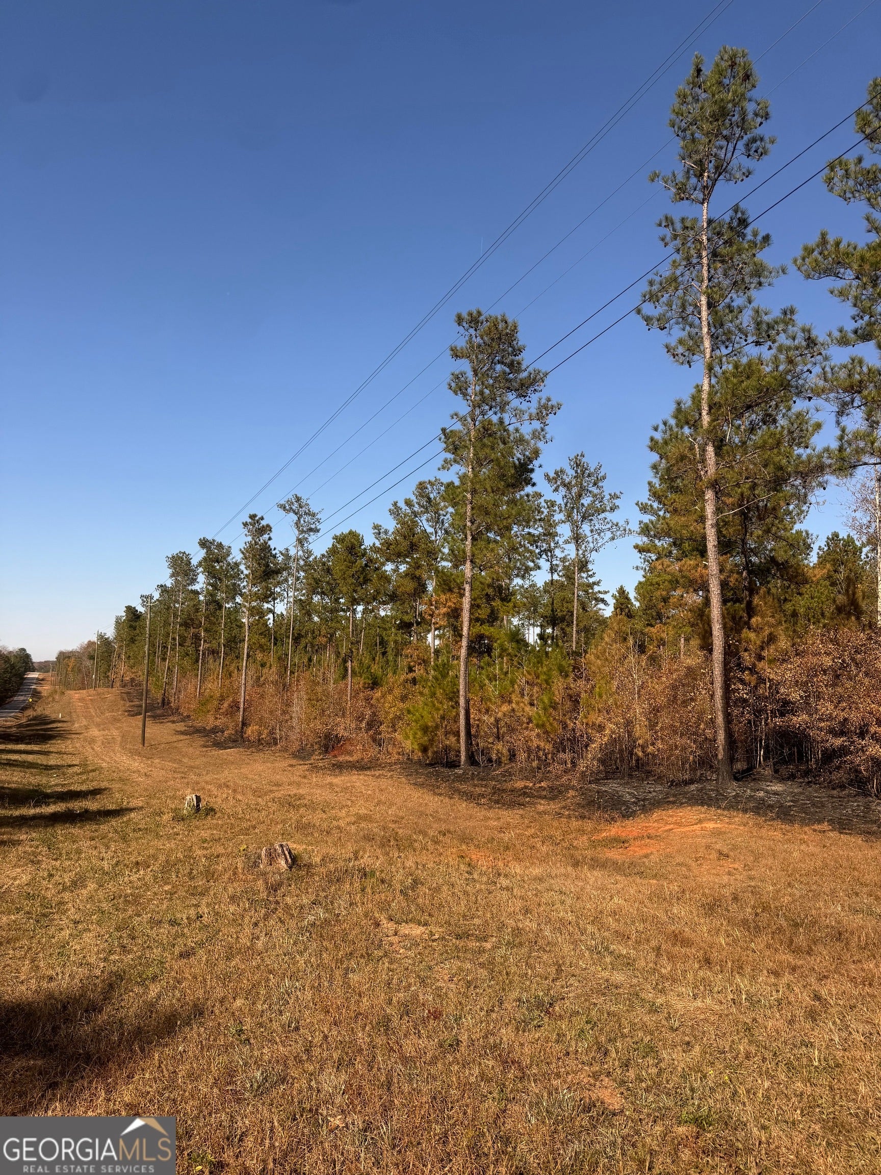 Photo of Listing #10648212