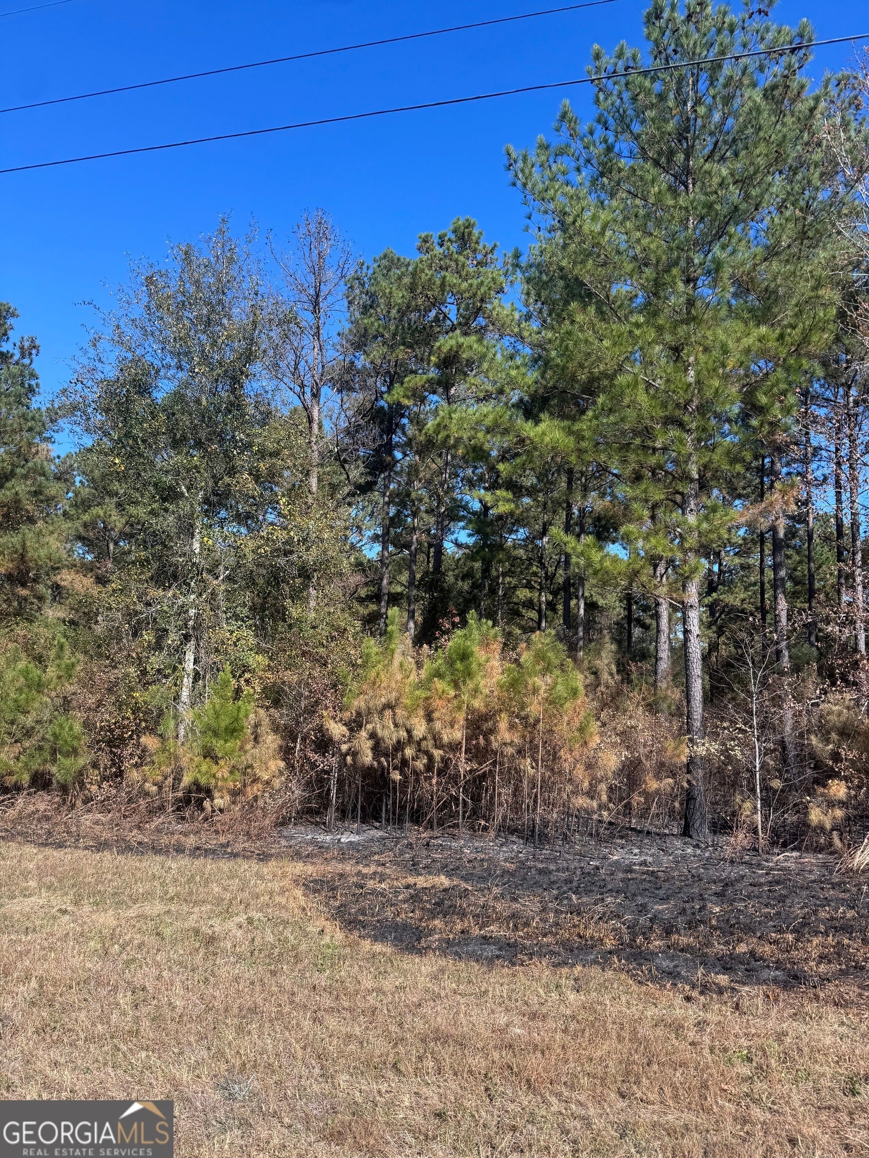 Photo of Listing #10648218