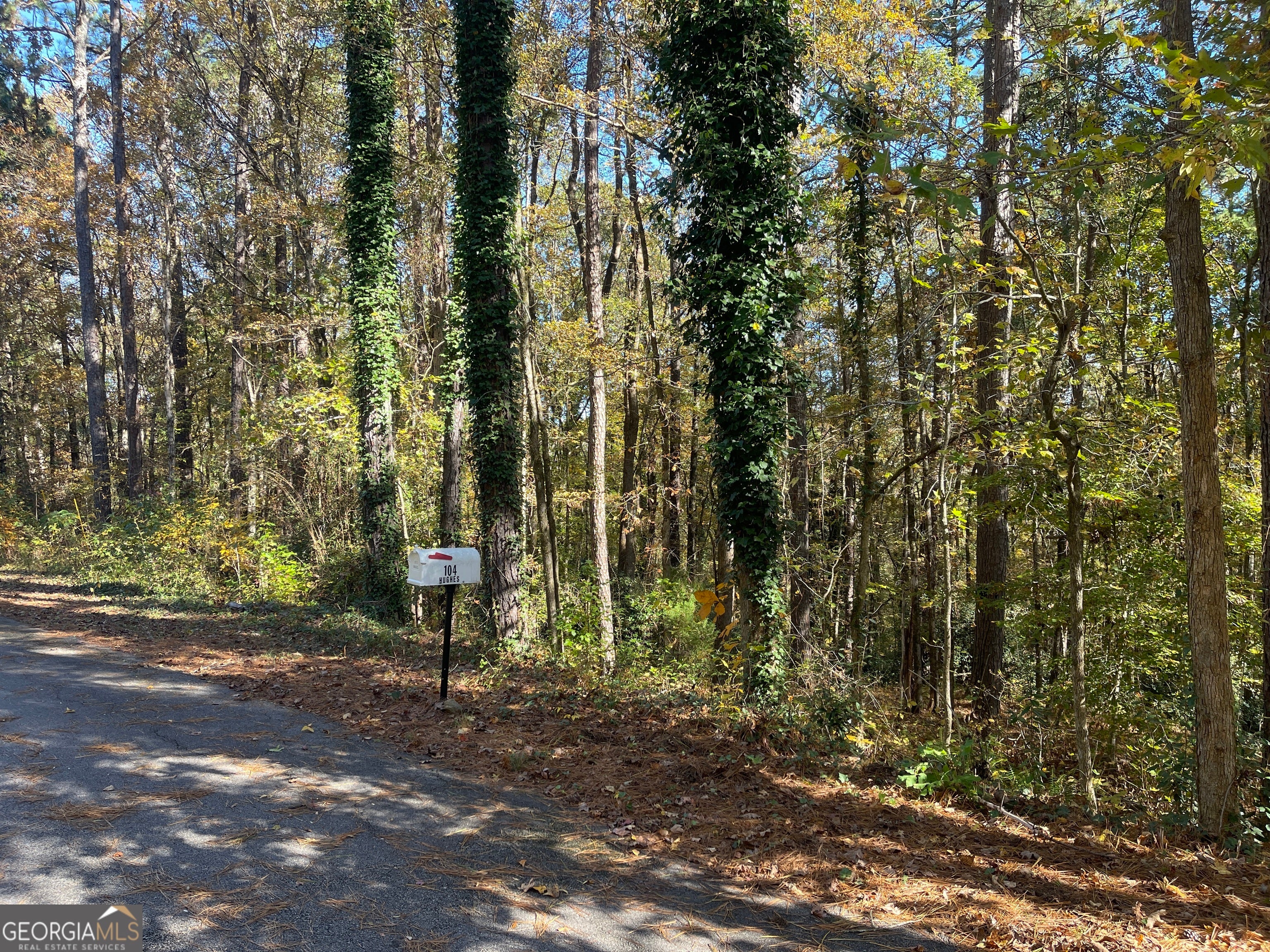 Photo of Listing #10648330